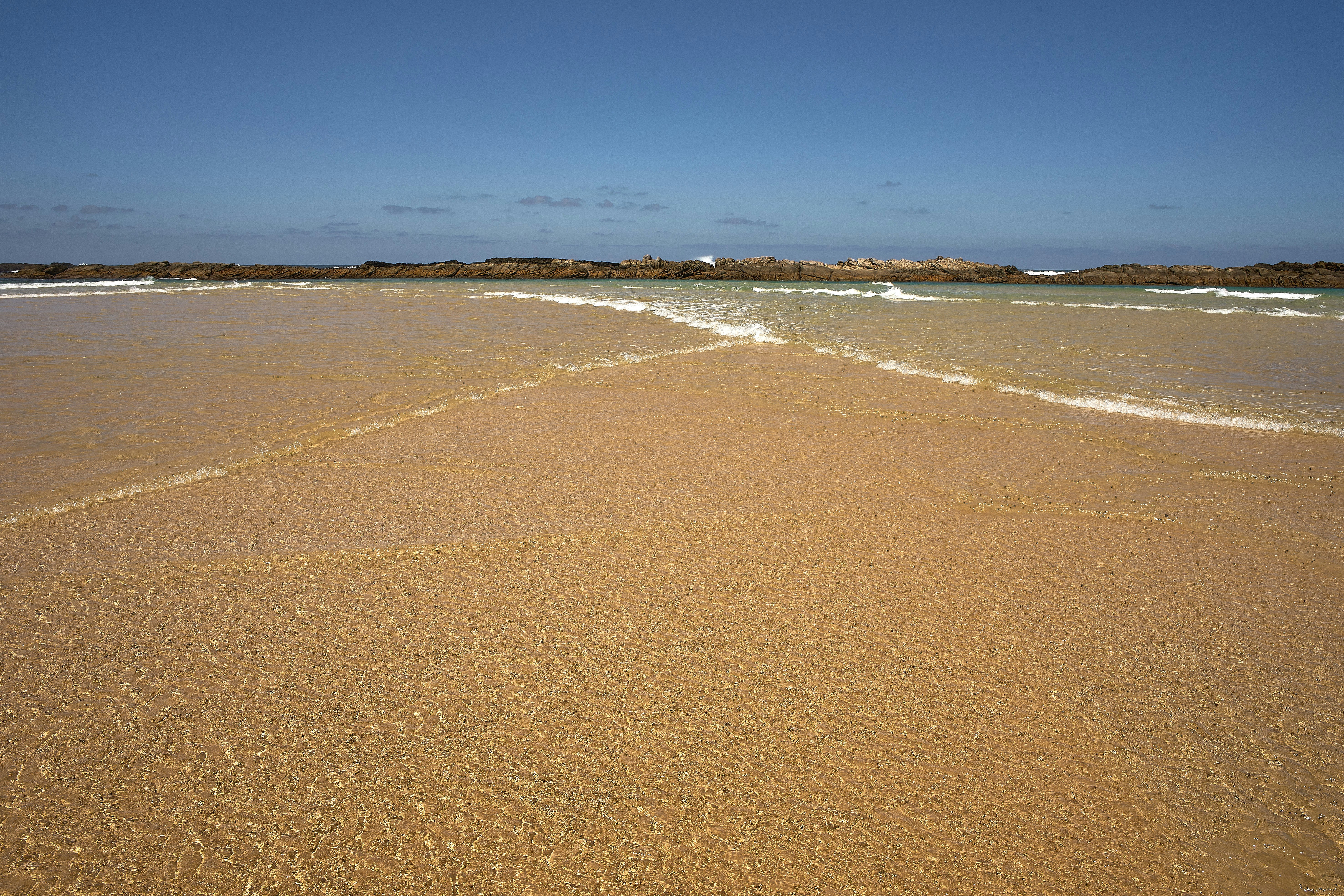 Photo by wolfgang_hasselmann