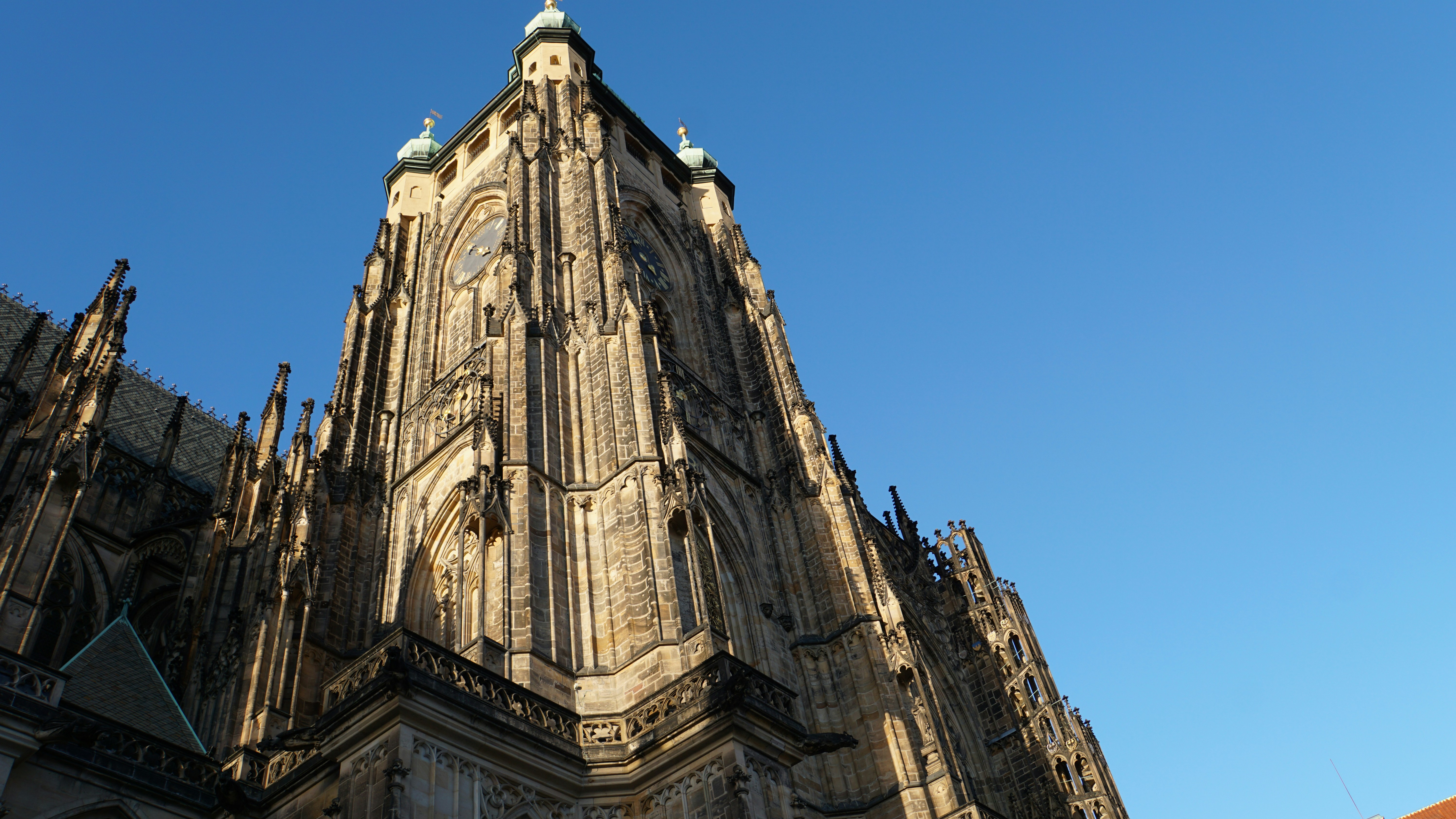 Photo by carinamaisriemler