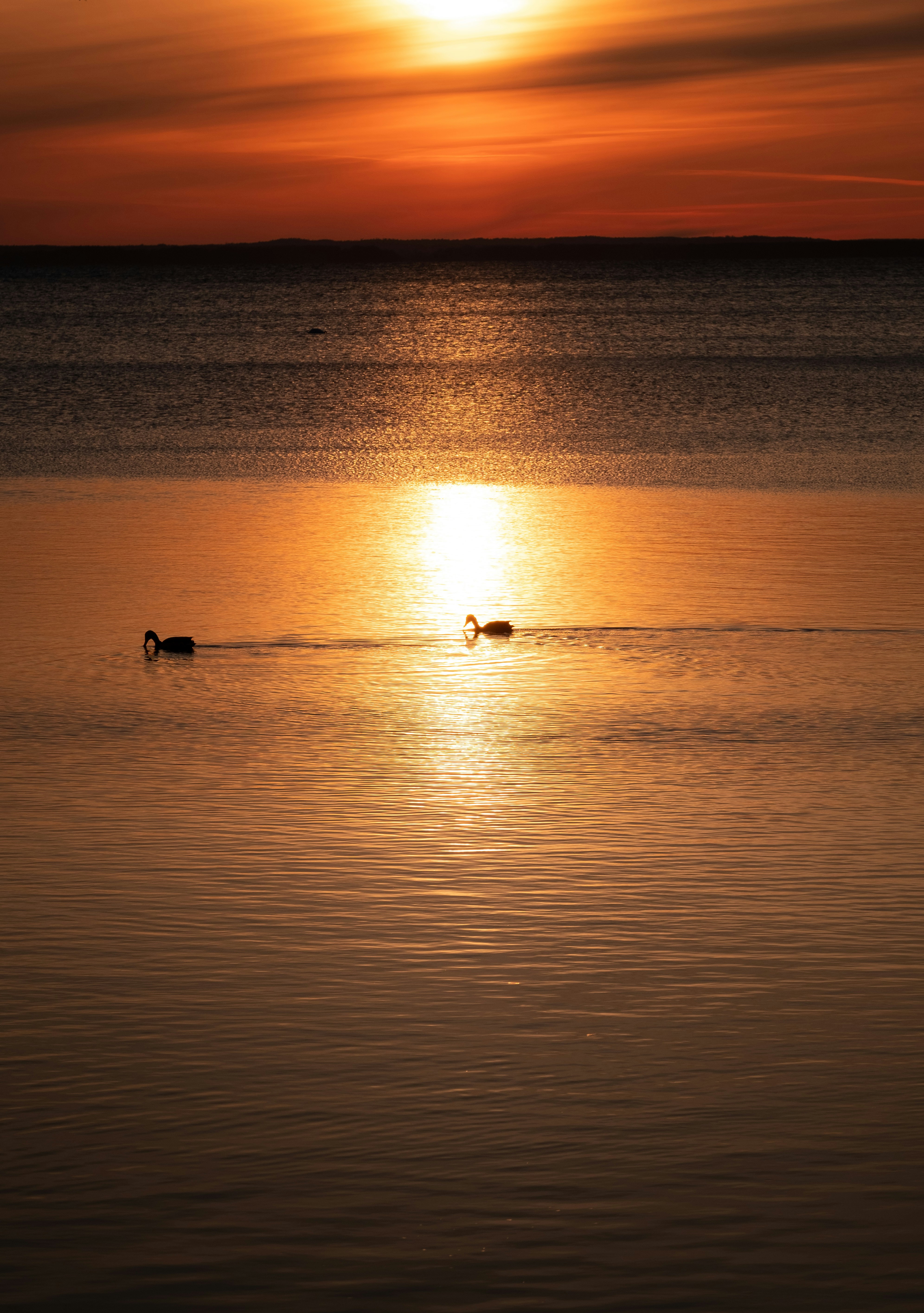 Photo by victor_vector