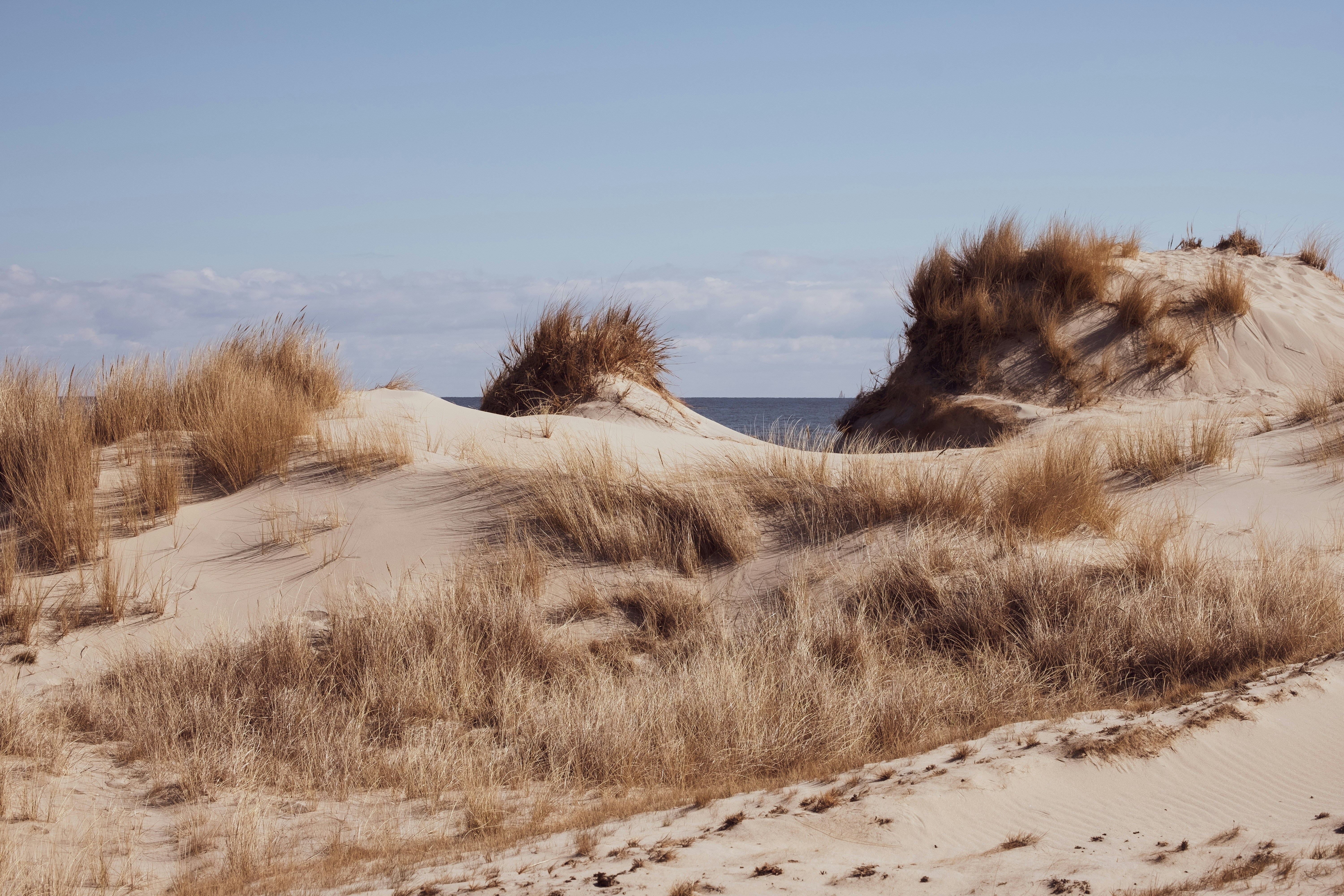 Photo by victor_vector