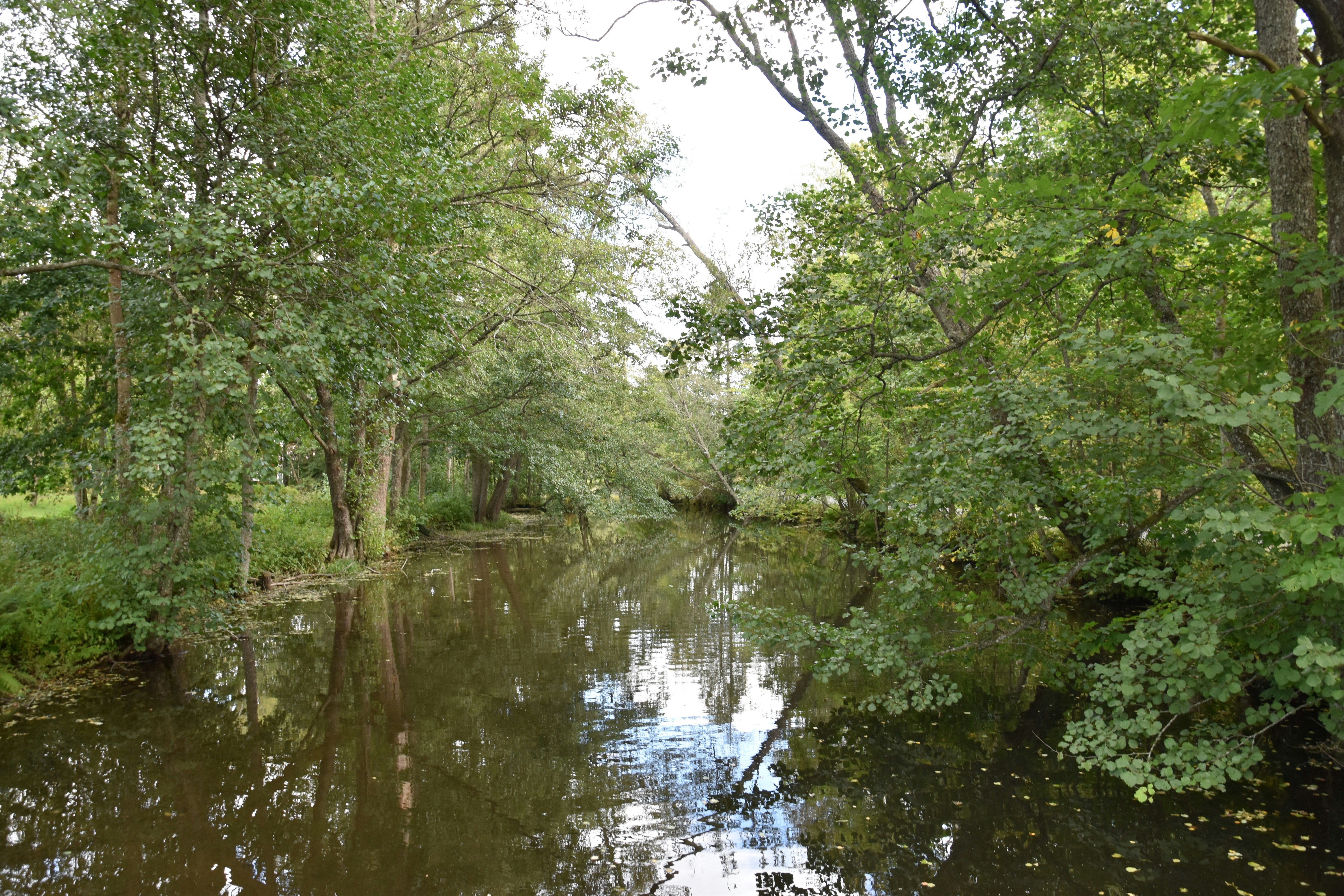 Photo by andras_ratonyi