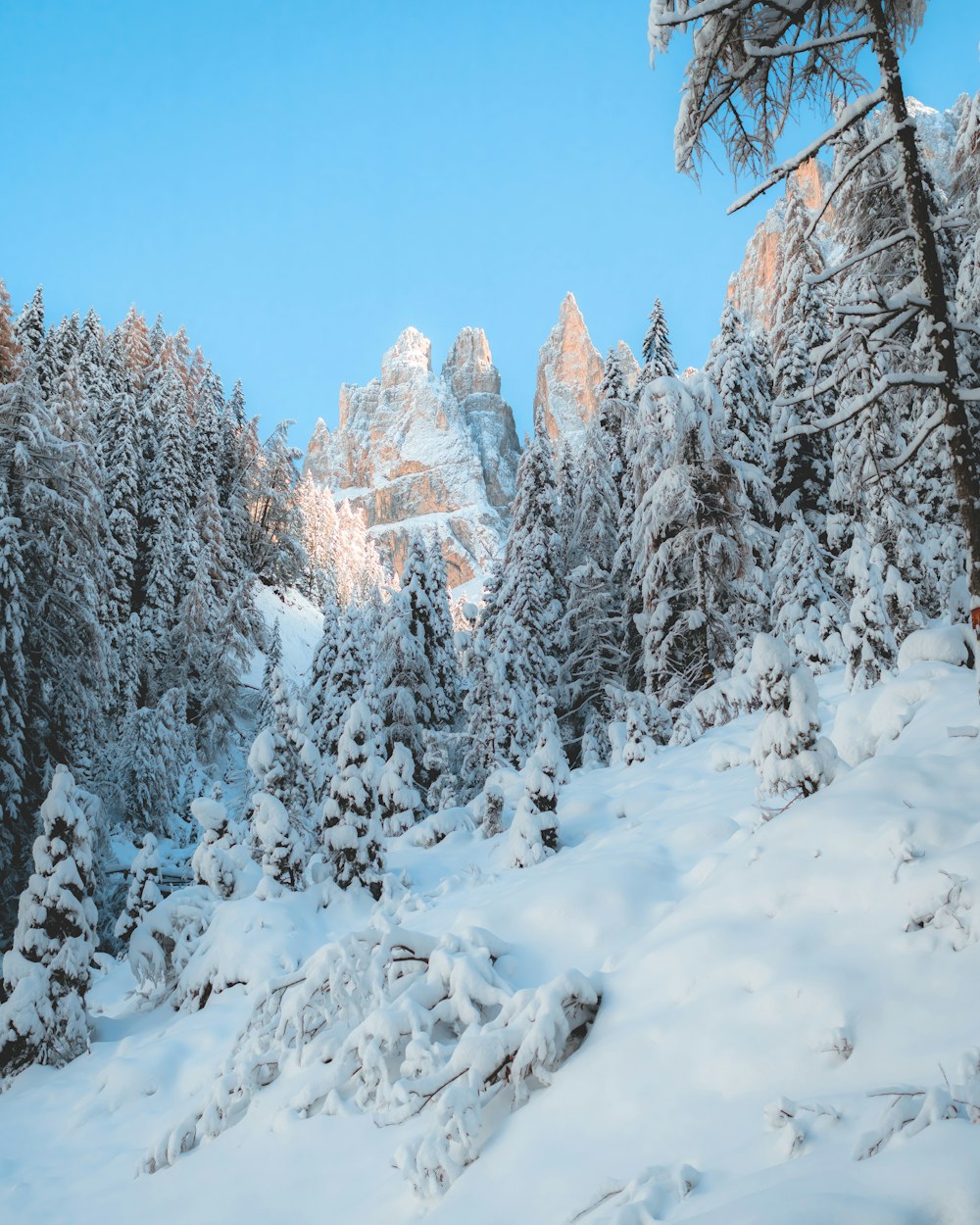 a snow covered forest with a mountain in the background