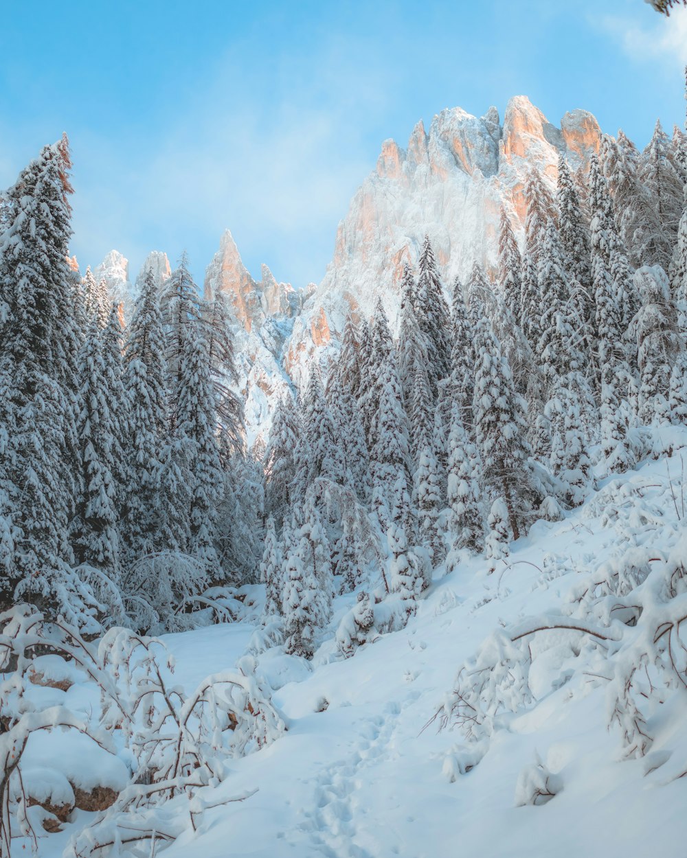 a snow covered mountain with a trail going through it