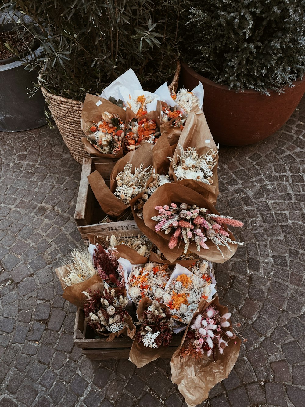 a bunch of flowers that are on the ground