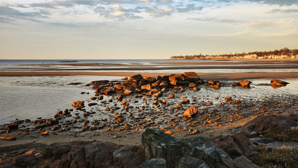 a beach with rocks and water on it