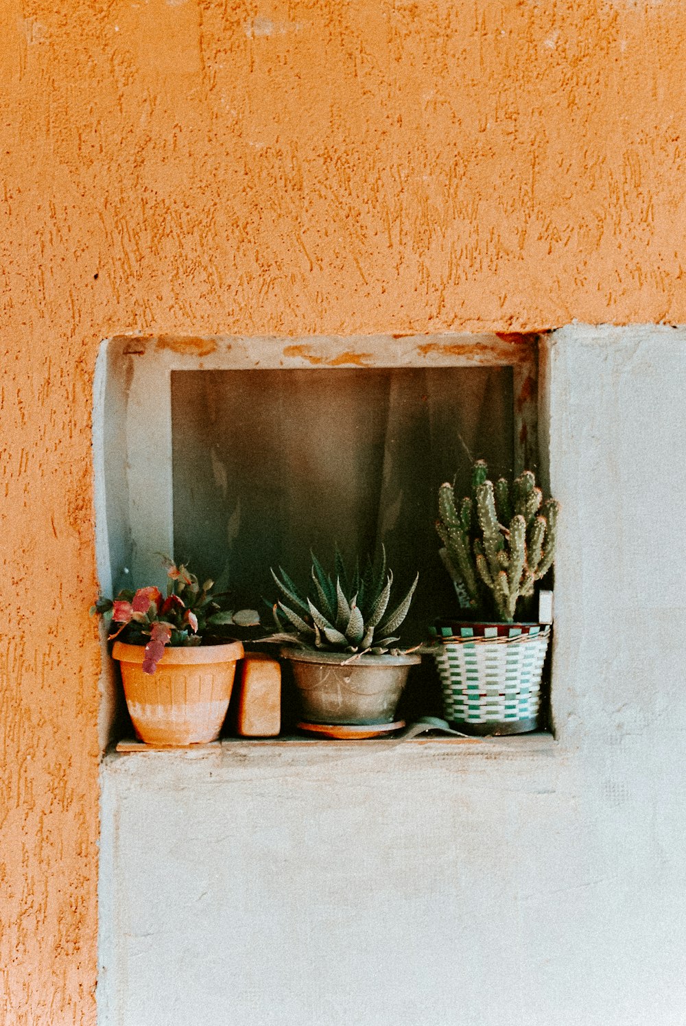 a window sill filled with potted plants next to a wall