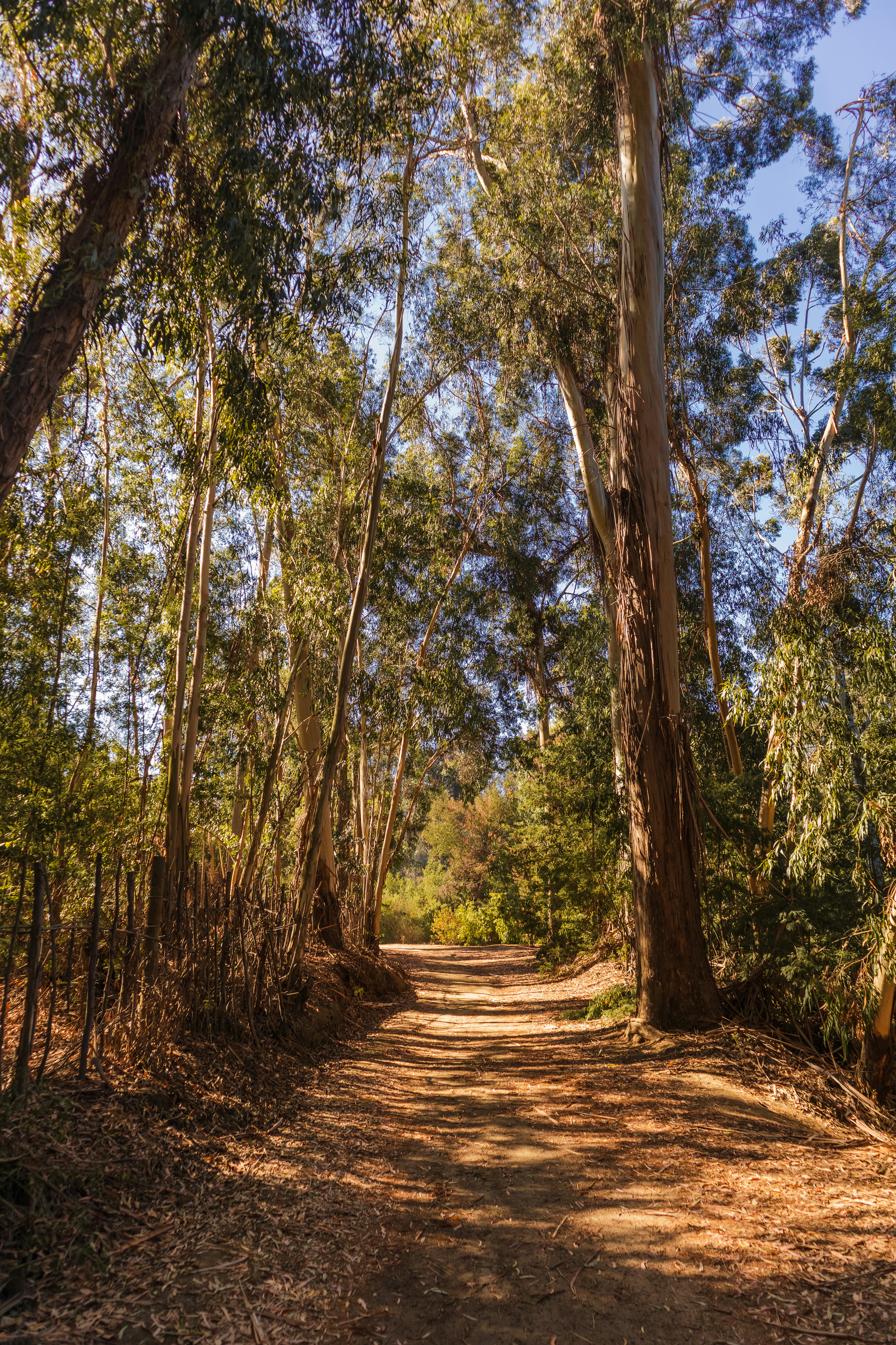 Photo by diegovillacer