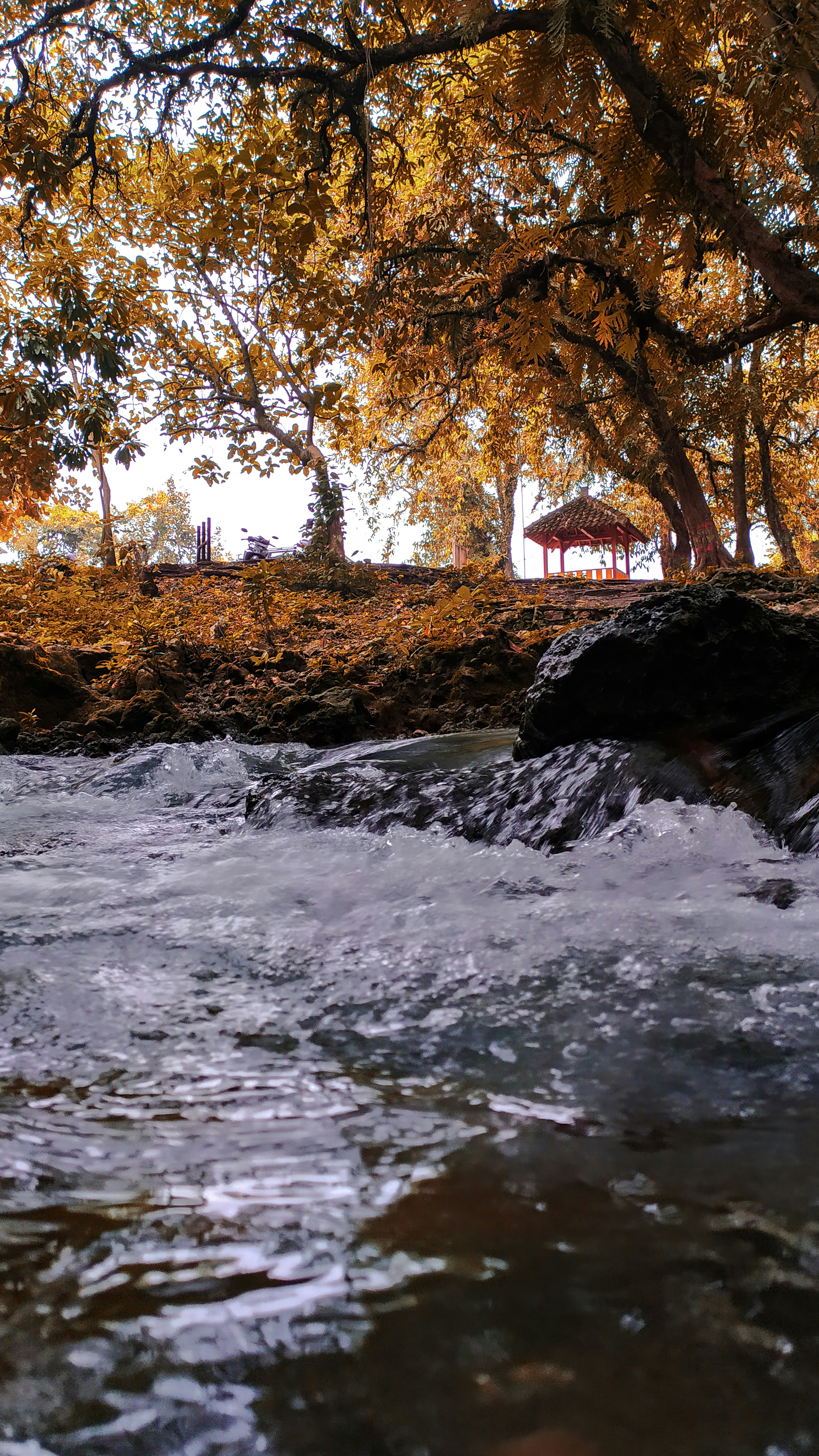 camping food wallpaper, wallpaper, Easy One Pot Camping Meals for Beginners 3