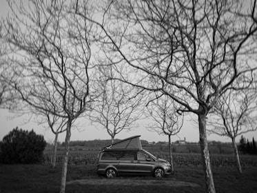 A scenic landscape with a lone camper van parked near a forest.