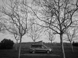 A scenic landscape with a lone camper van parked near a forest.