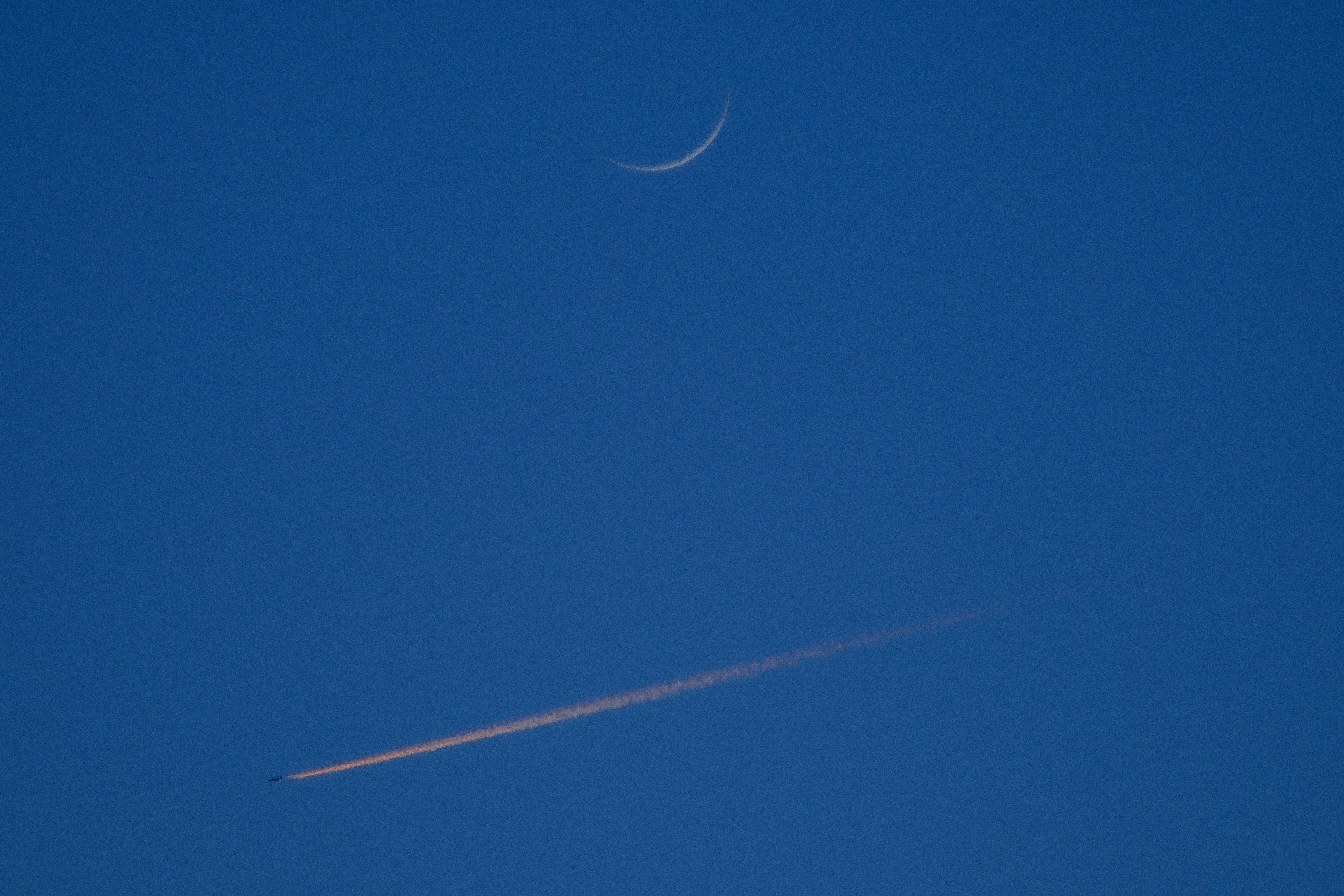 Photo by terra_gallery