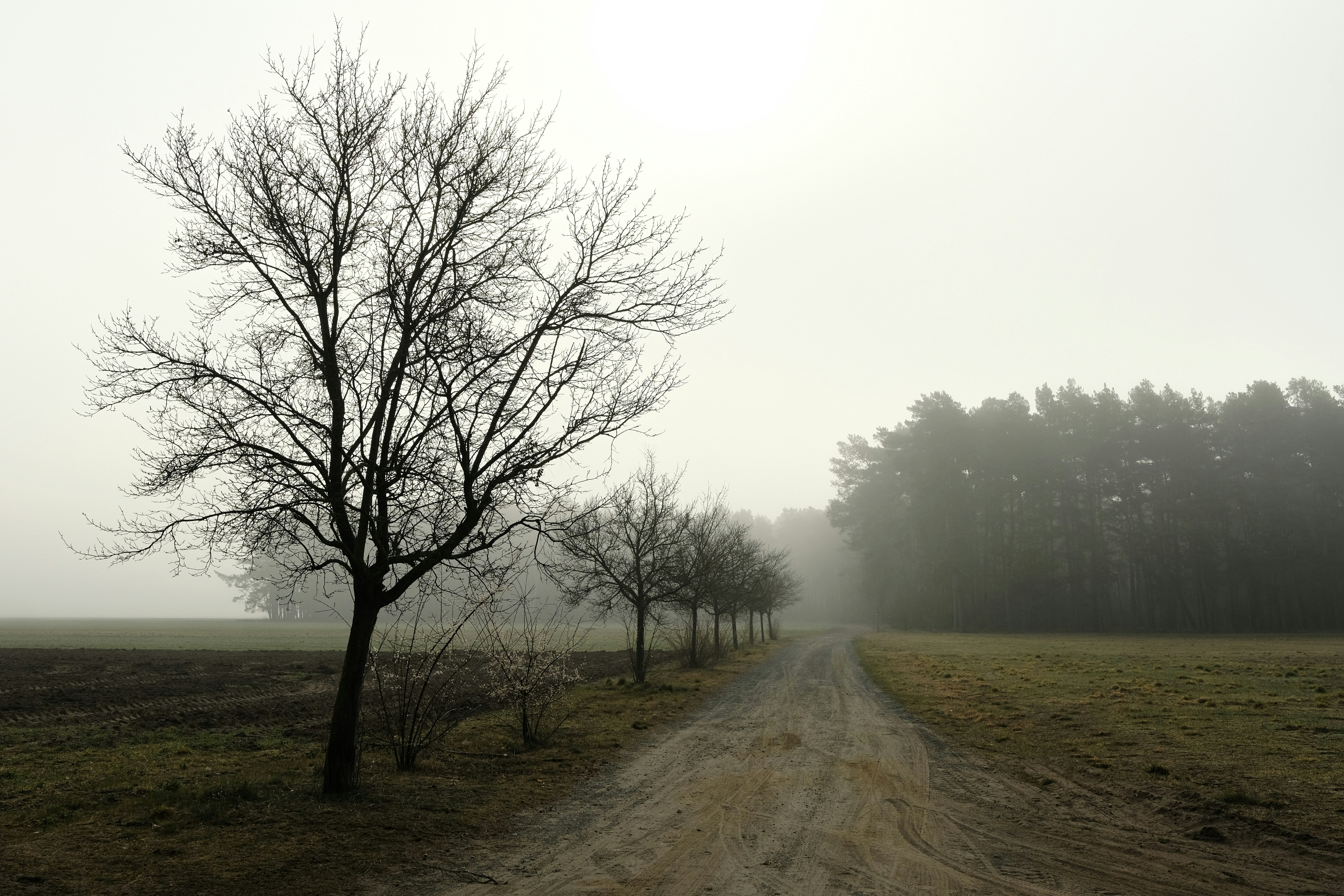 Photo by herrherrmann