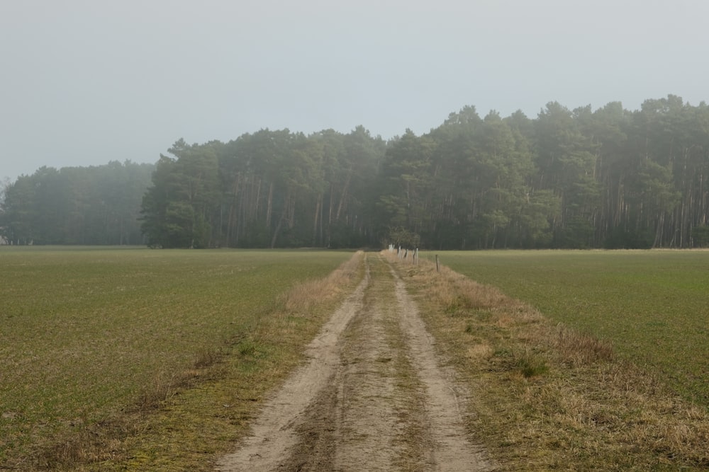 a dirt road in the middle of a field