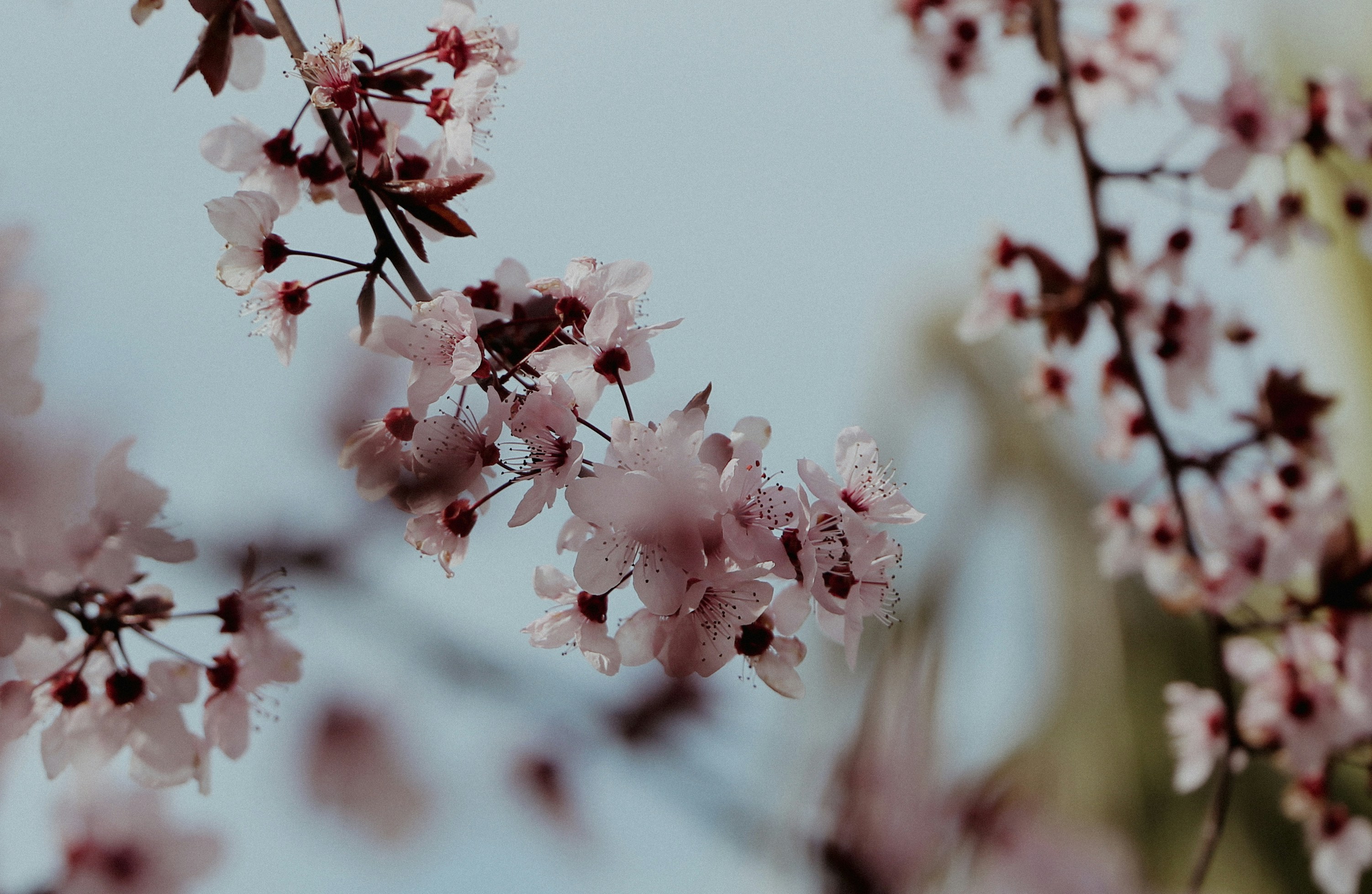 Photo by haliltekin1