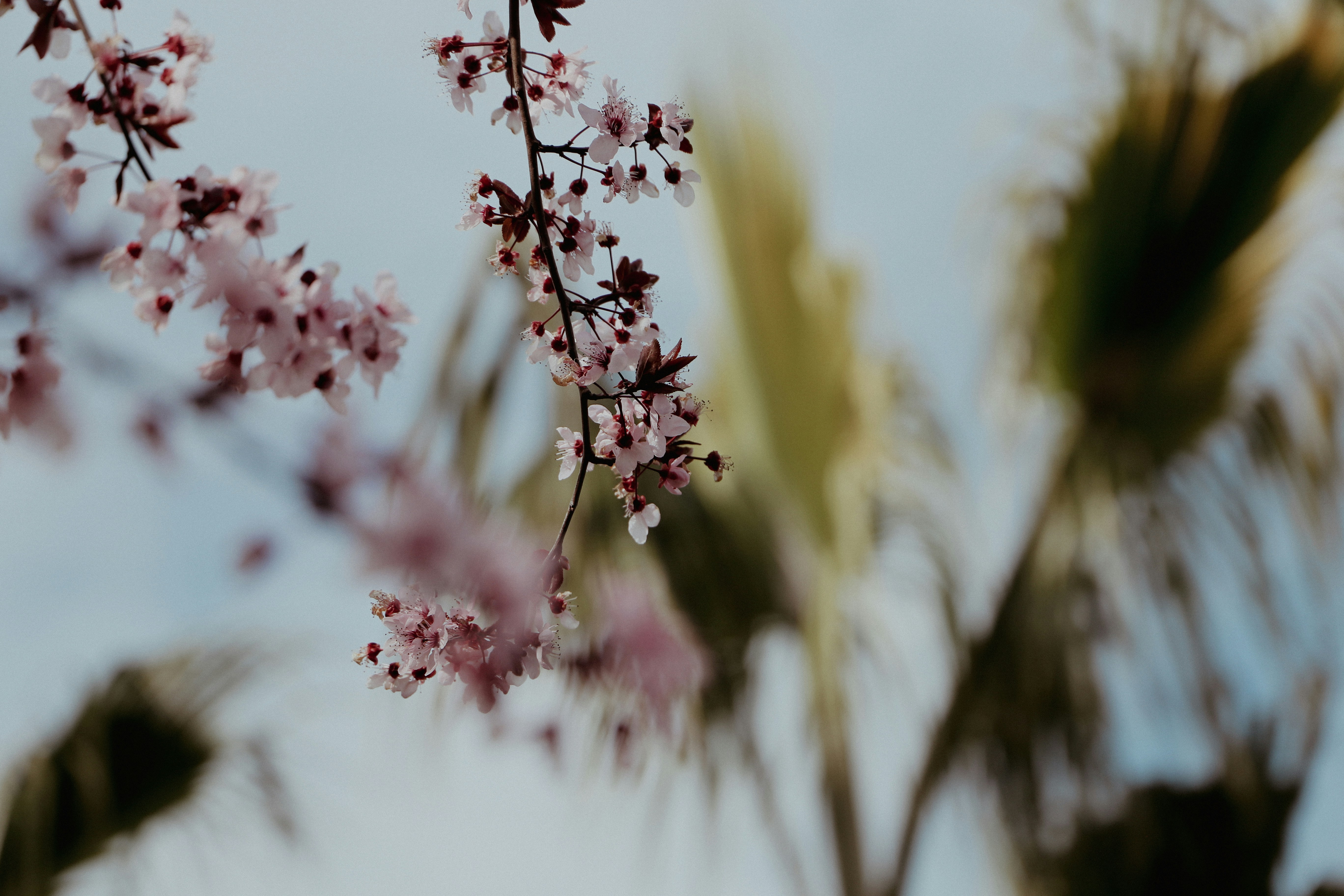 Photo by haliltekin1