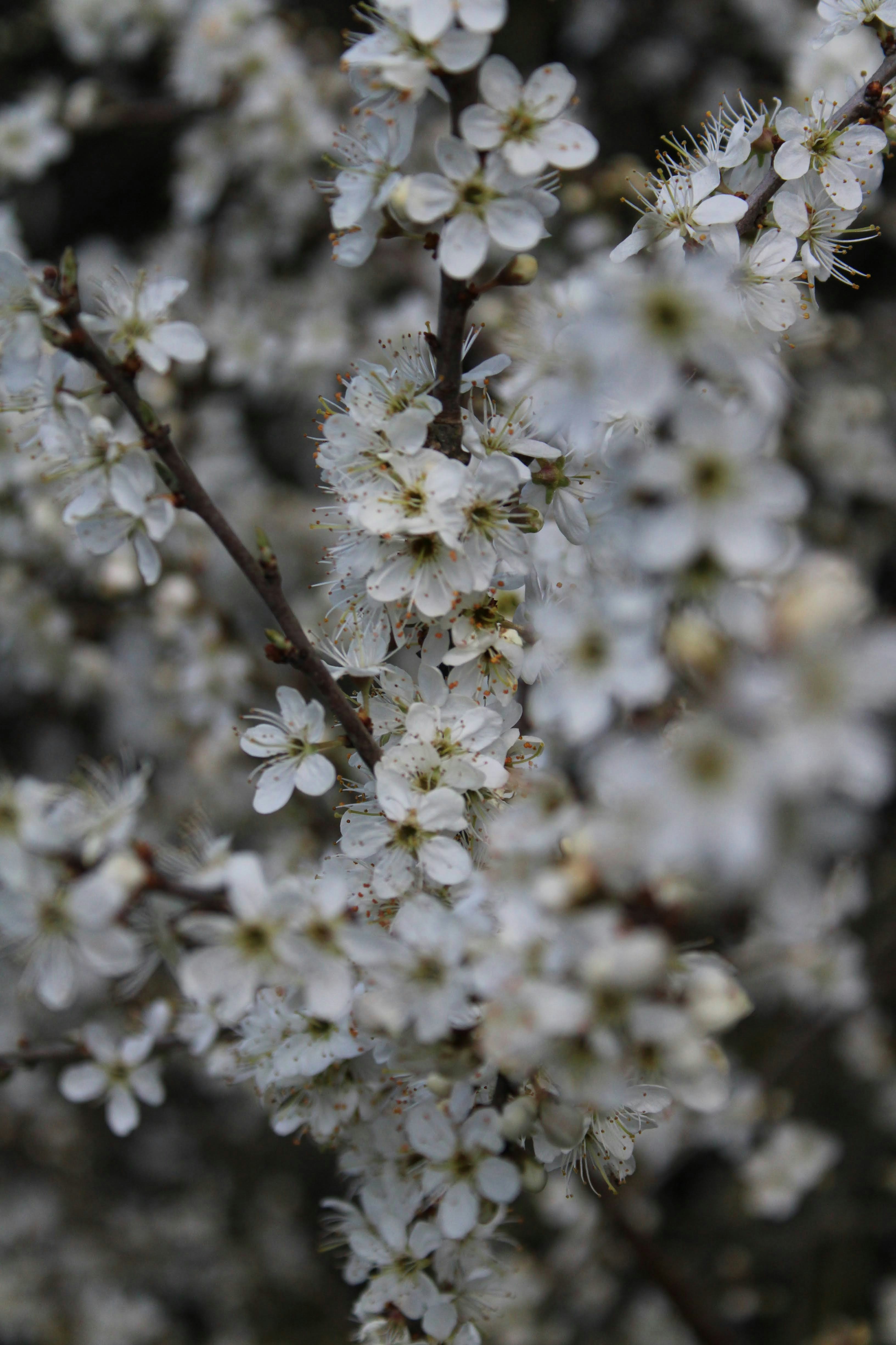 Photo by balesphotographyco