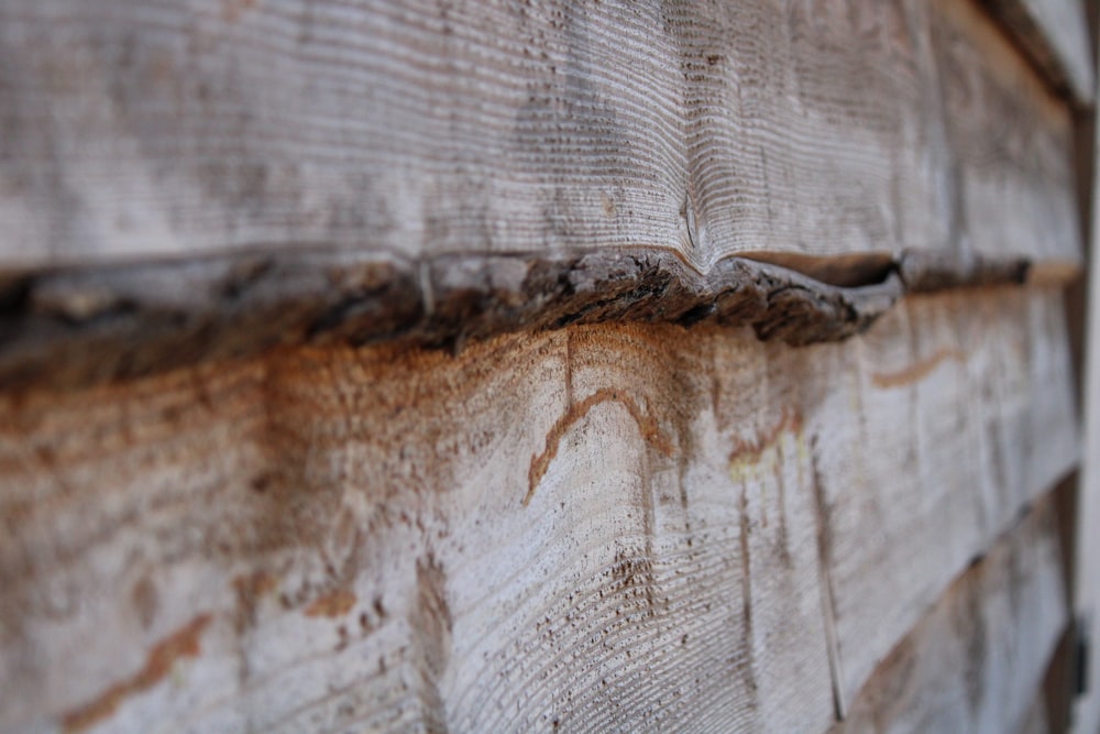 a close up of a piece of wood