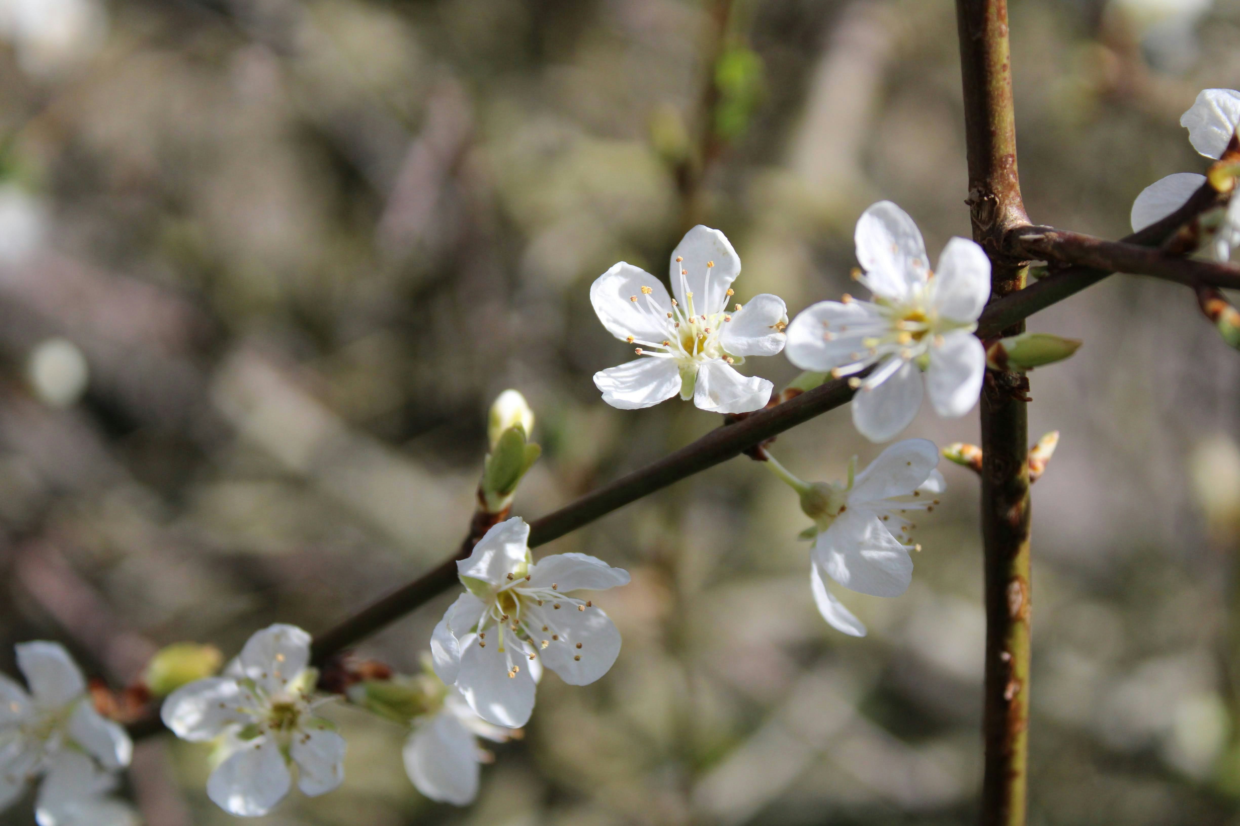 Photo by balesphotographyco