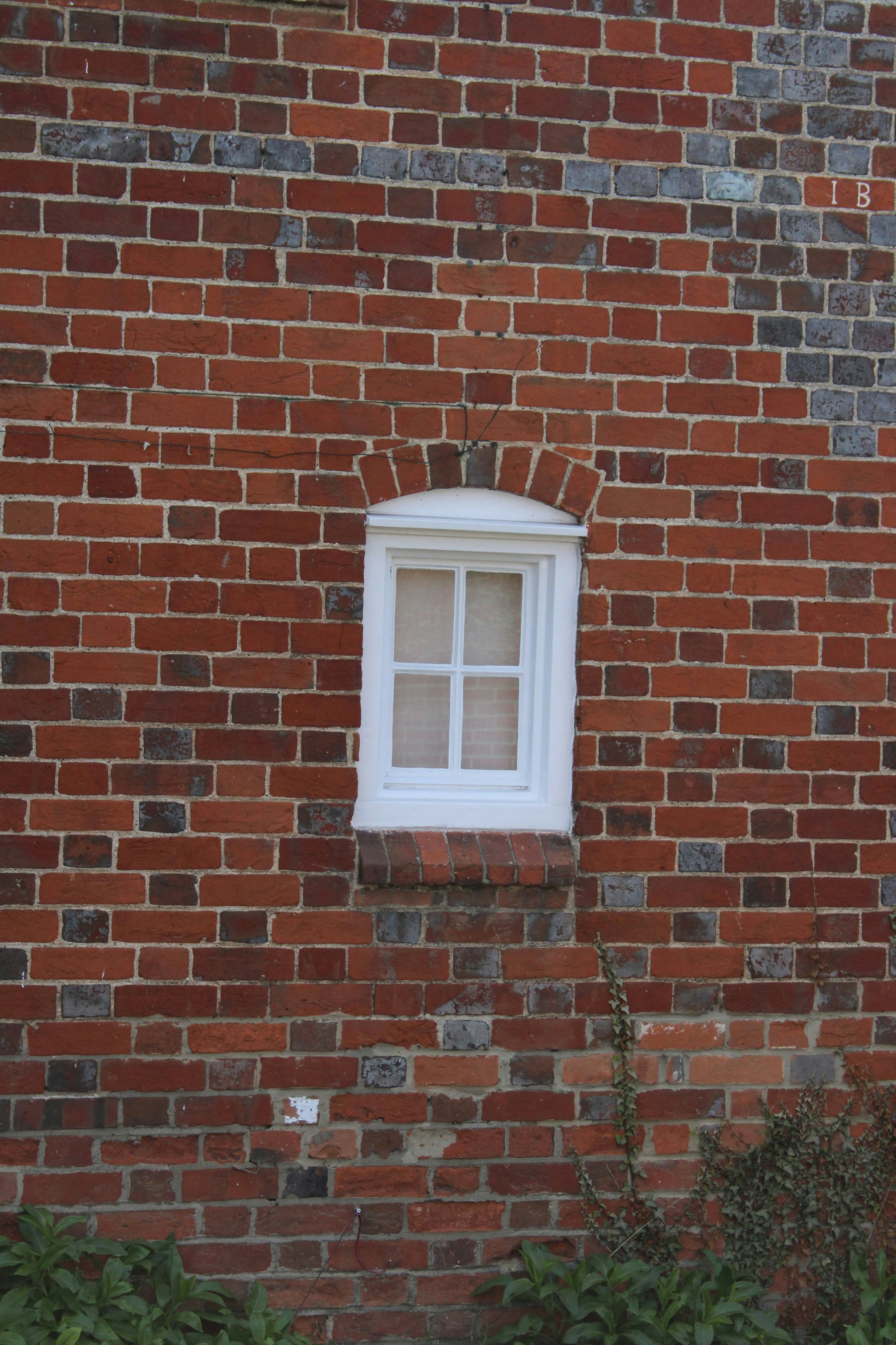 Photo by balesphotographyco