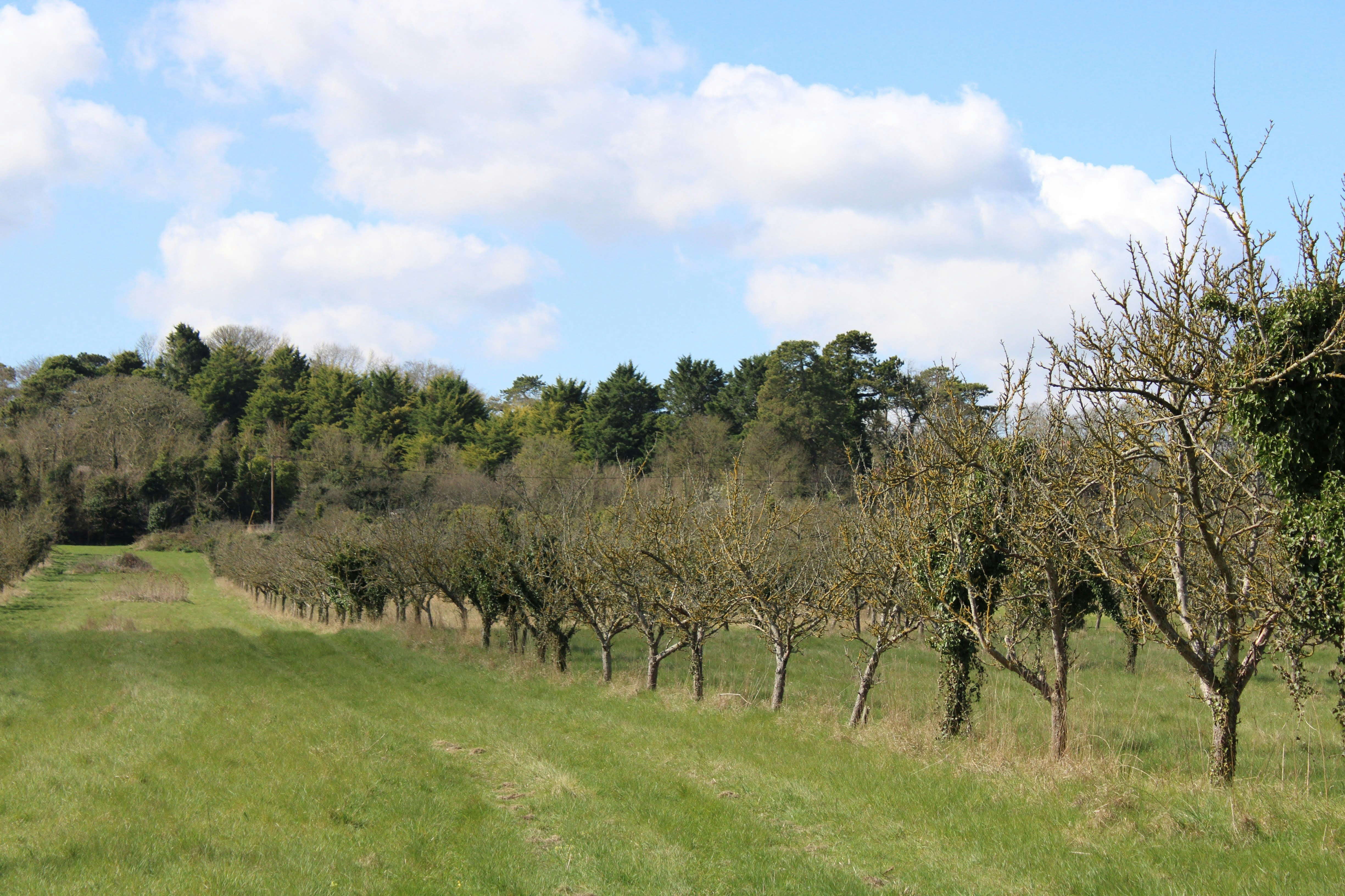 Photo by balesphotographyco