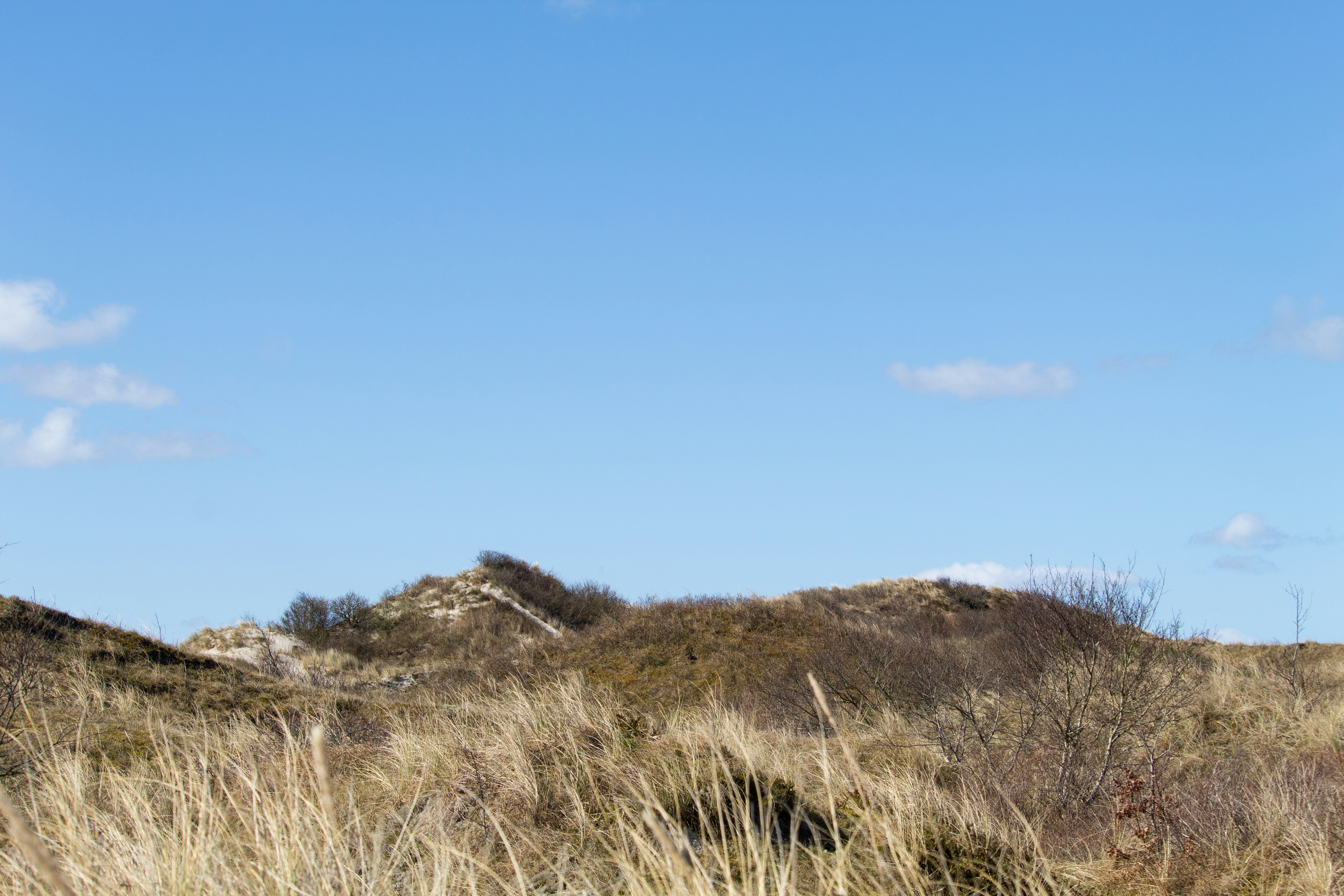 Photo by jonnelaaglandwinder