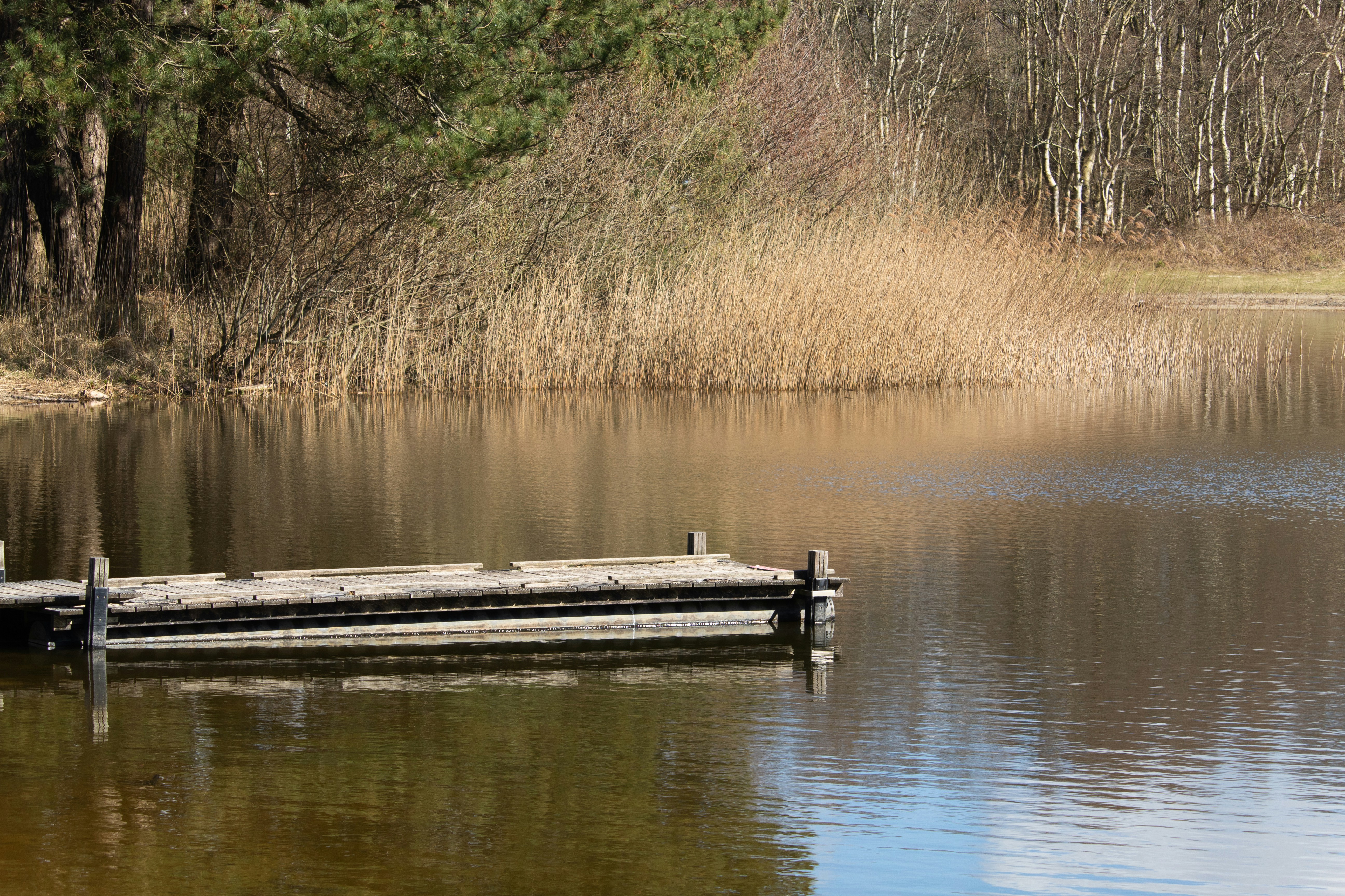 Photo by jonnelaaglandwinder