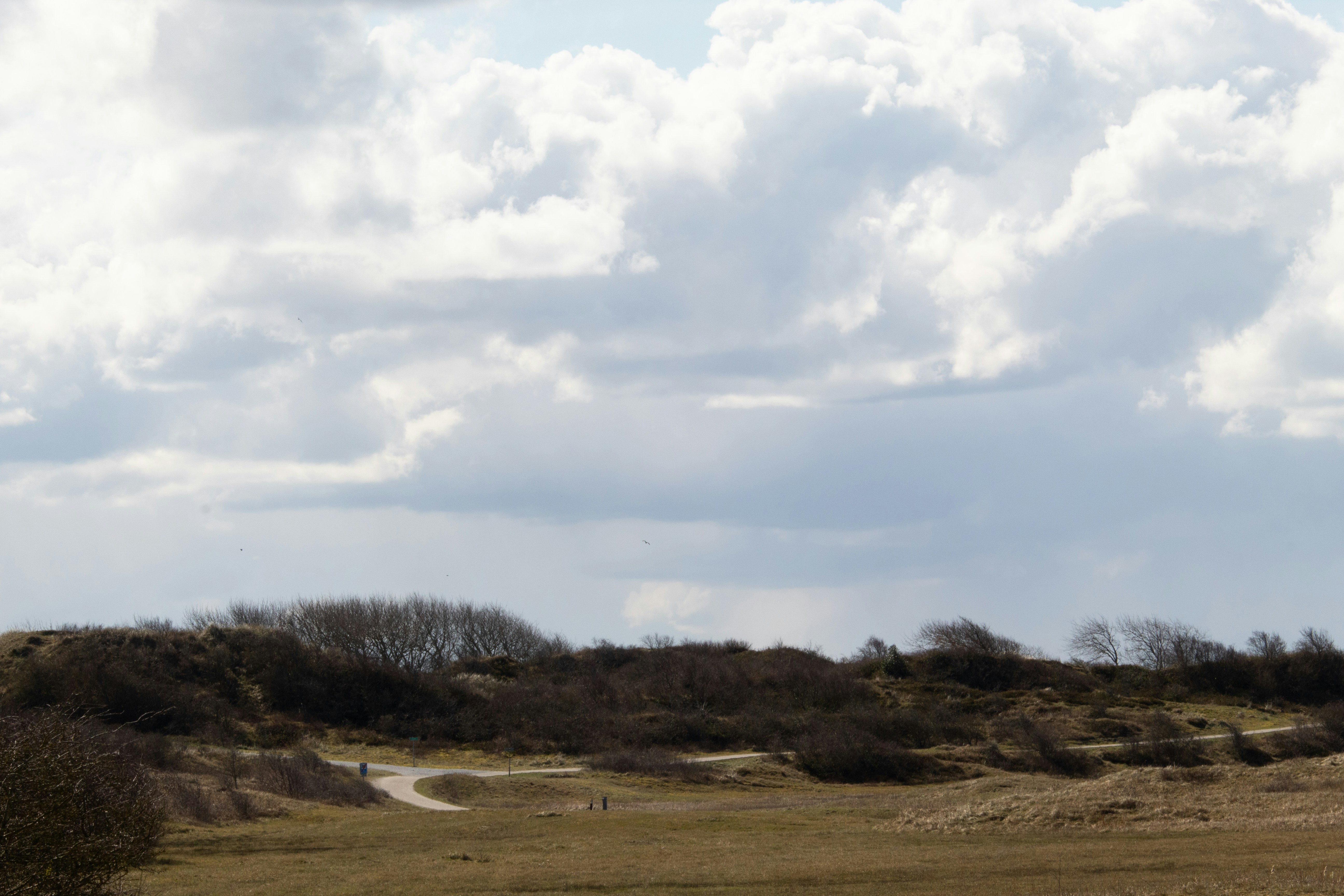 Photo by jonnelaaglandwinder