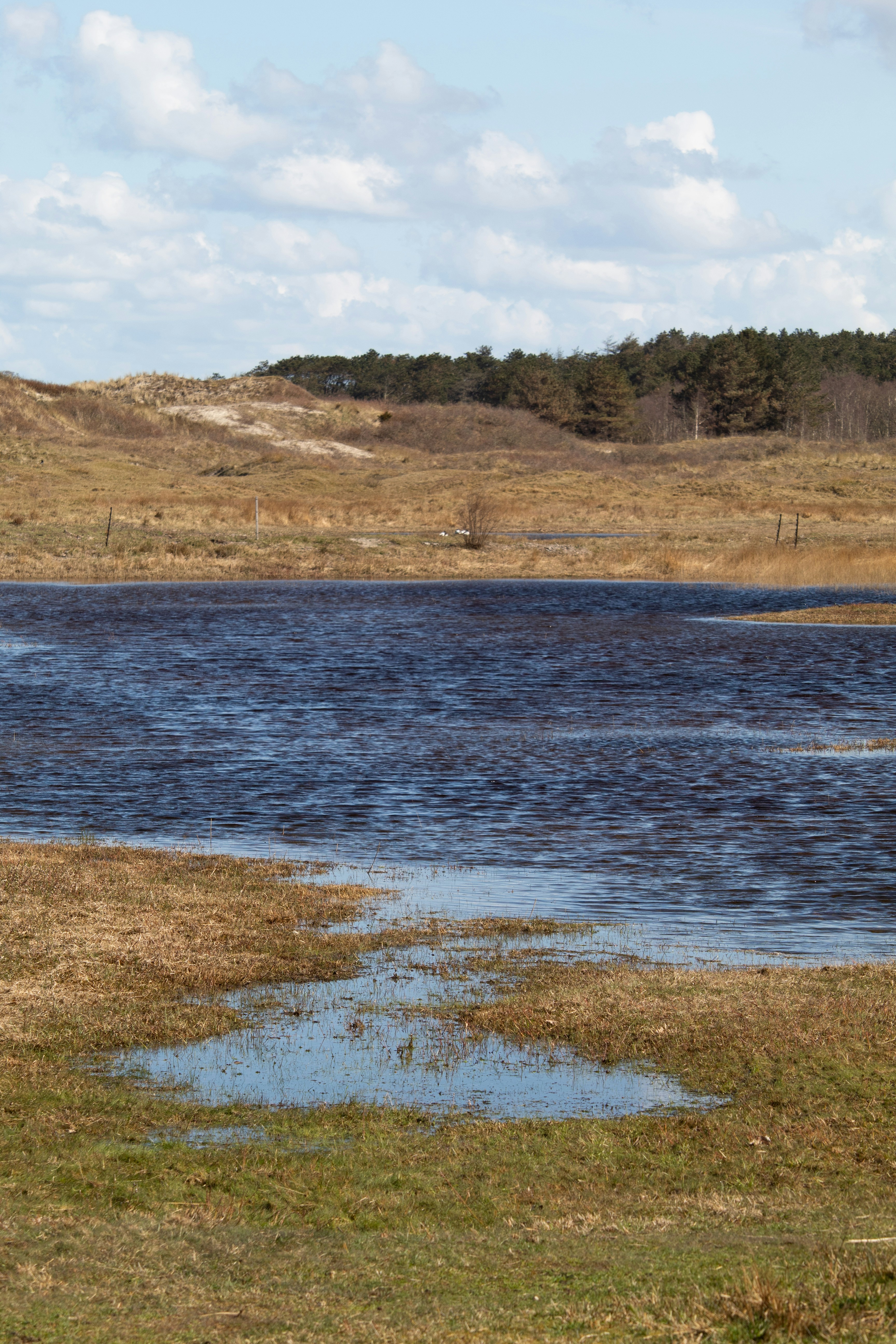 un grand plan d’eau assis dans un champ d’herbe sèche