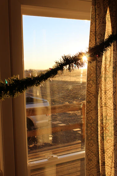 Sunlight sparkling on freshly cleaned windows of a cozy Ottawa home.