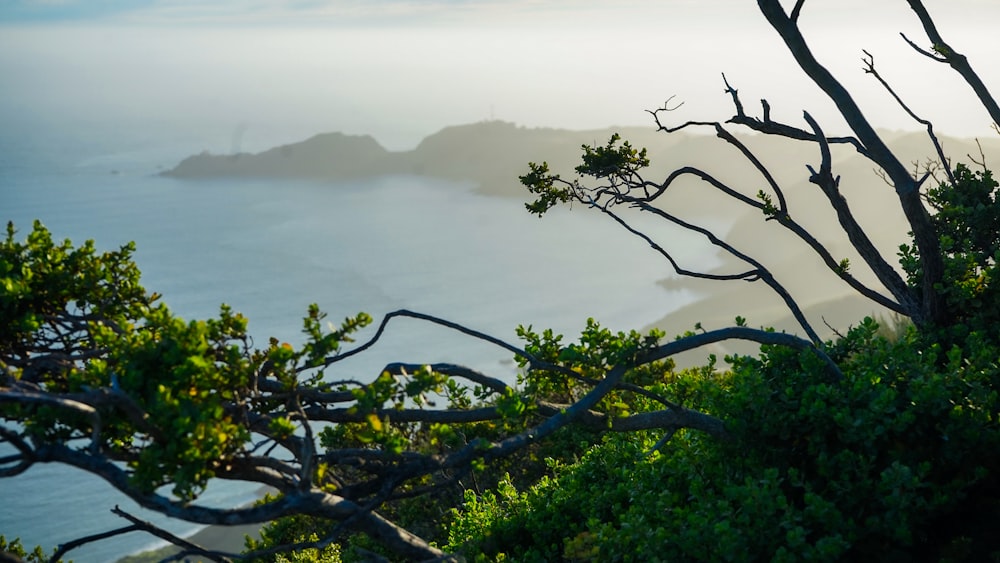 a view of a body of water from a hill