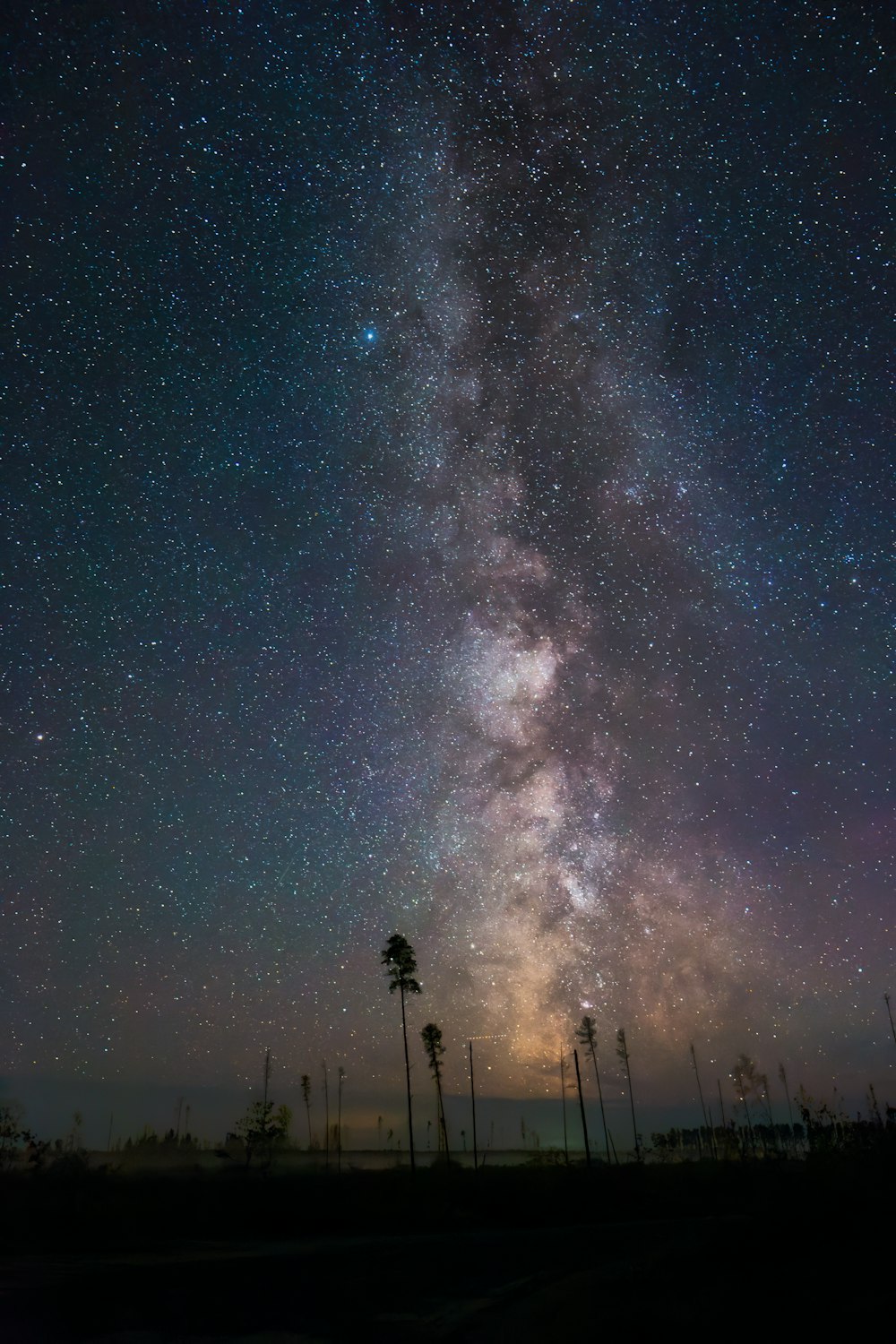 the night sky is filled with stars and trees