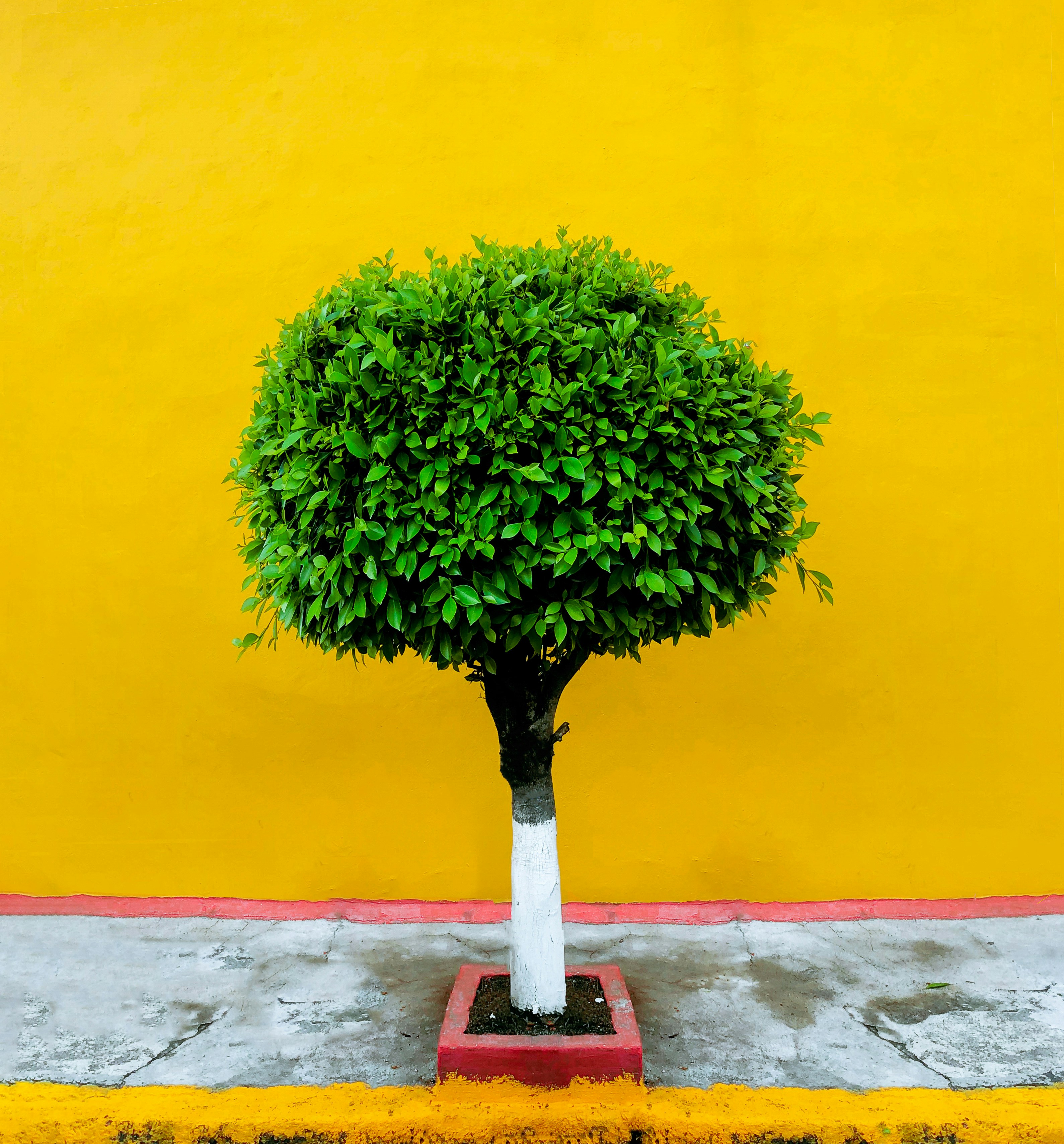 Photo by israelpinapol