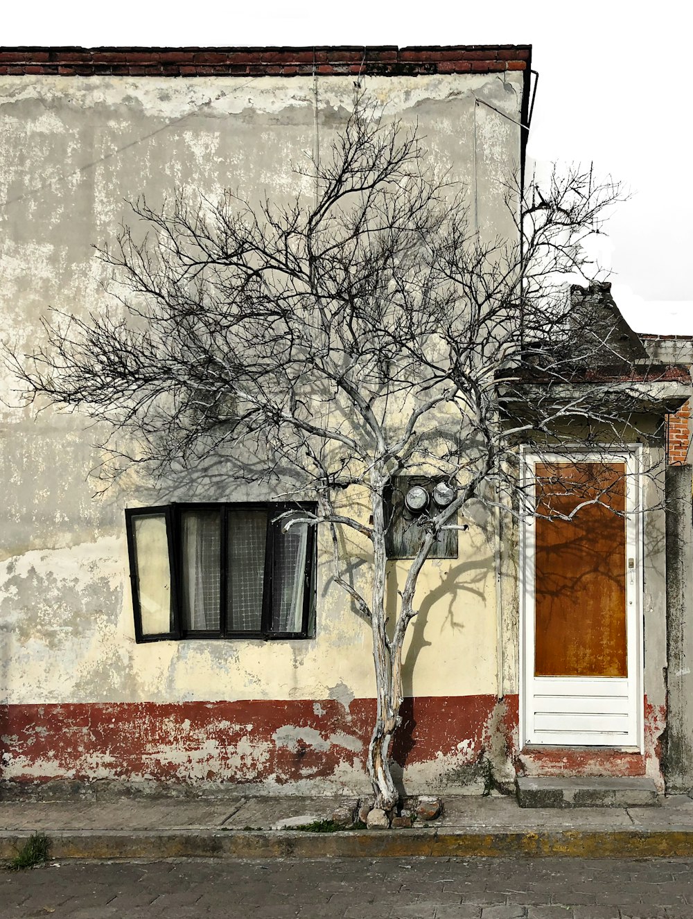 a tree in front of a building with a parking meter