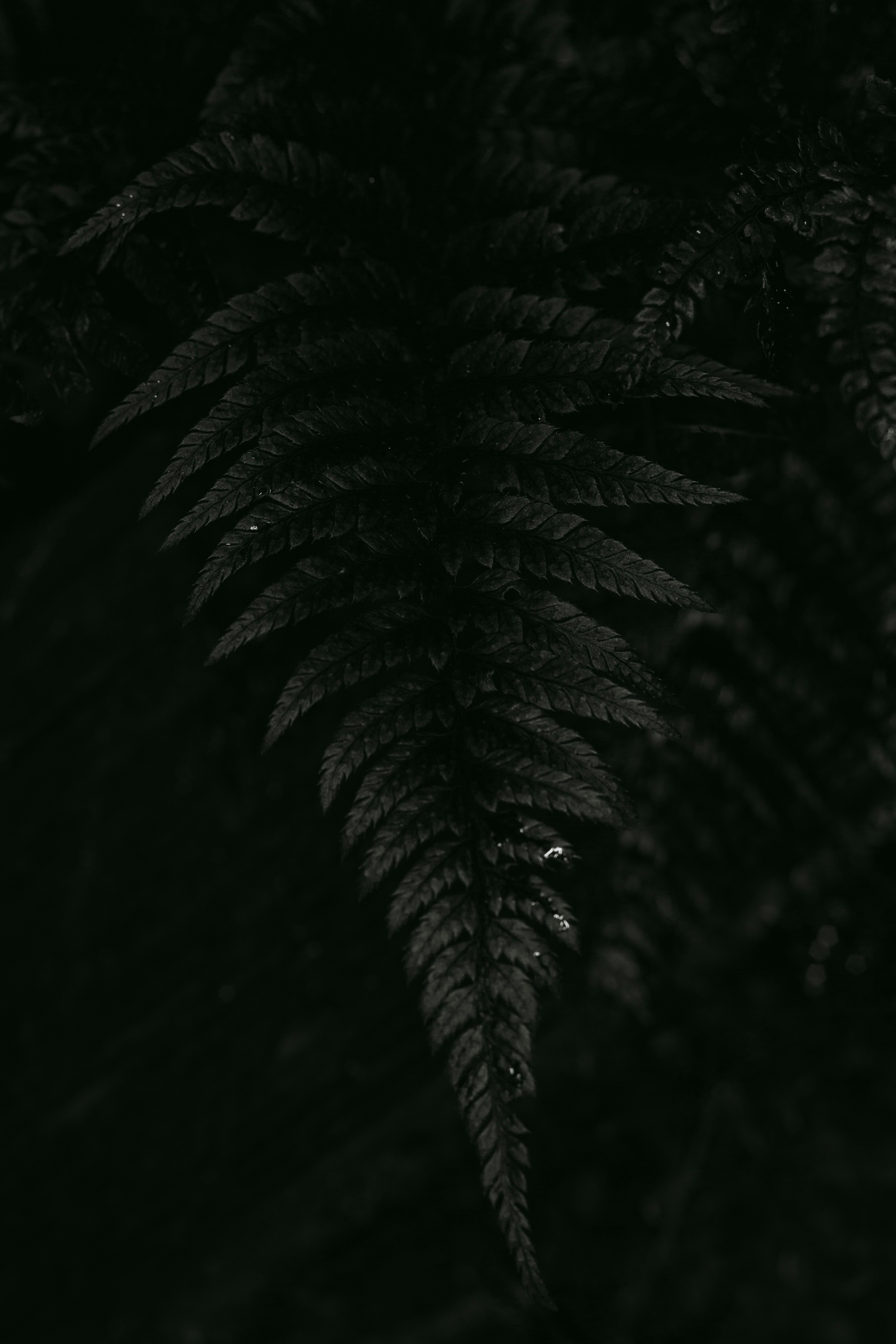 Photo by davidbridle