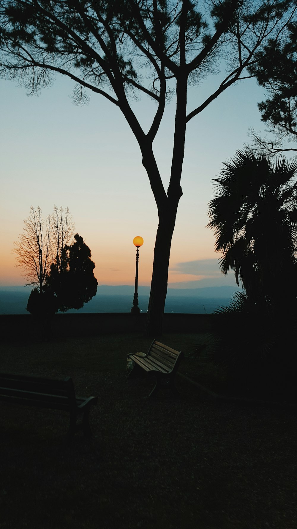 a bench sitting under a tree next to a street light