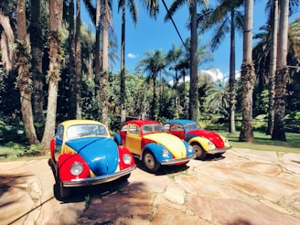 A lineup of restored retro VWs parked outside the workshop, ready for their next adventure.