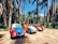 Three vintage Volkswagen Beetles painted in bright colors—blue, red, and yellow—are parked in a tropical setting surrounded by tall palm trees and lush greenery.