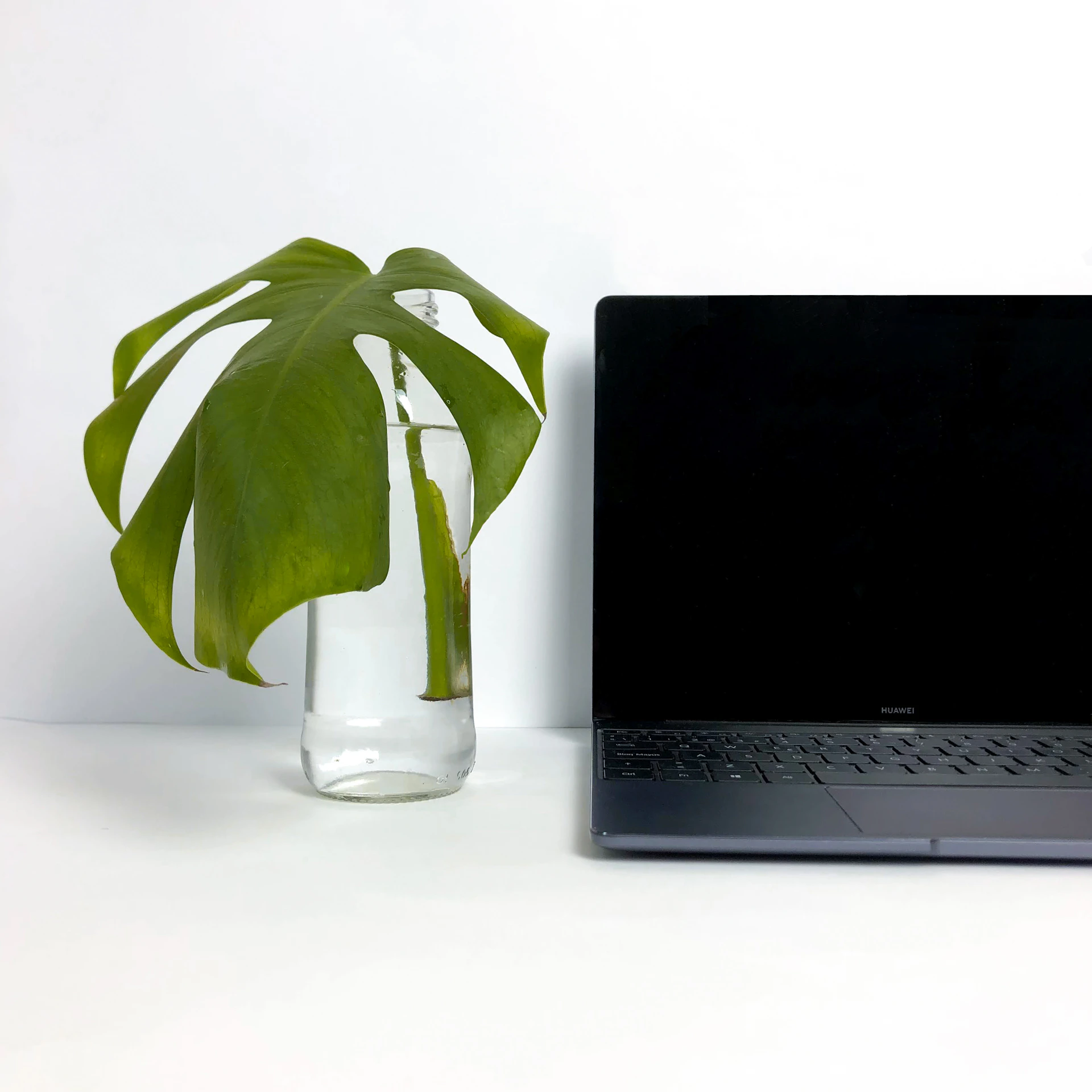 a laptop computer sitting on top of a desk next to a plant