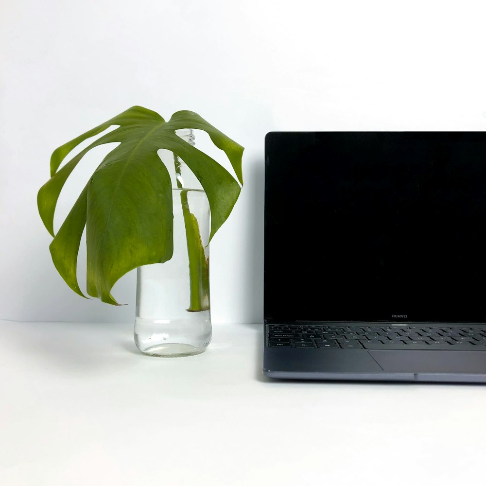 a laptop computer sitting on top of a desk next to a plant