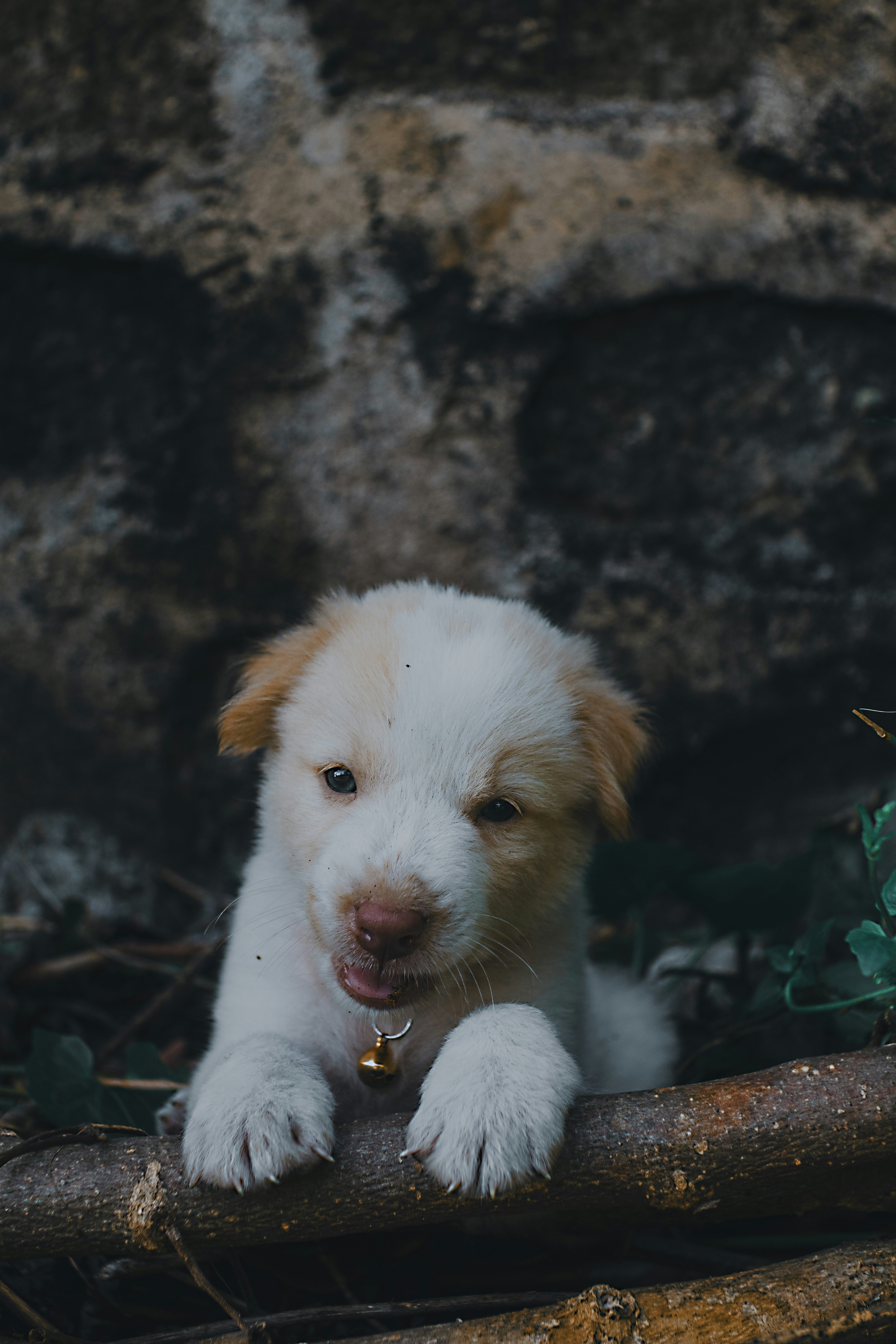 Photo by roadahead_2223