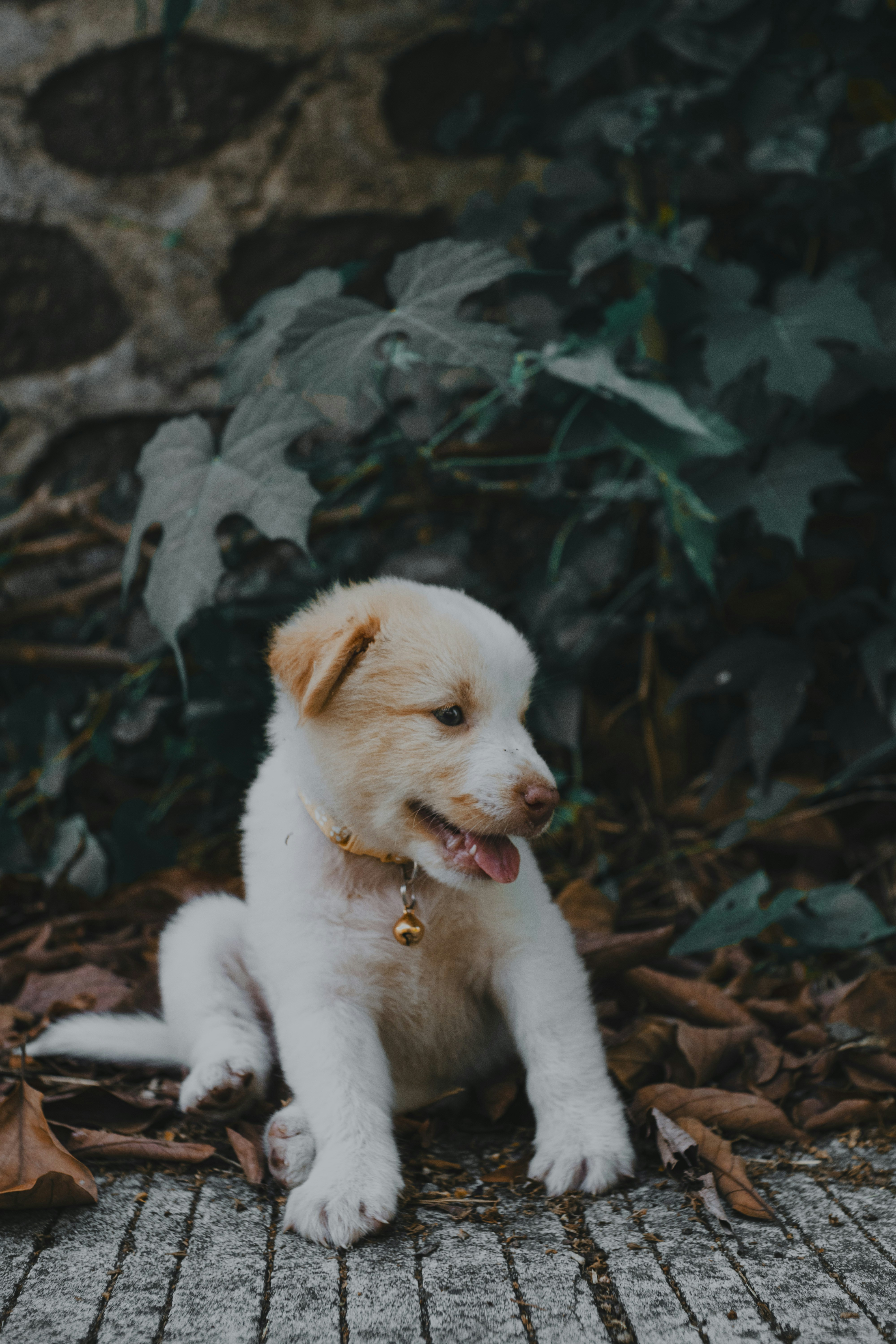 Photo by roadahead_2223