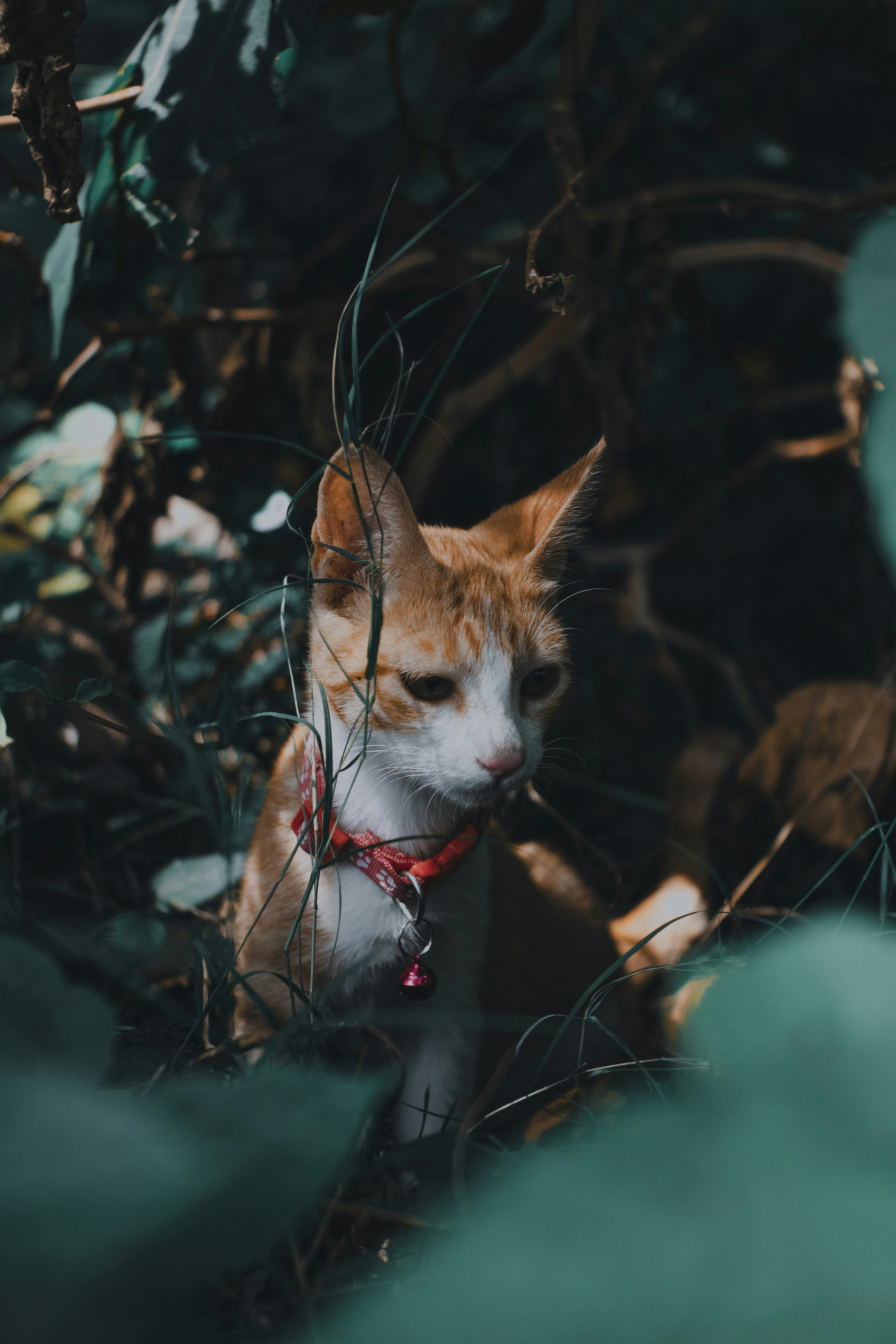 Photo by roadahead_2223