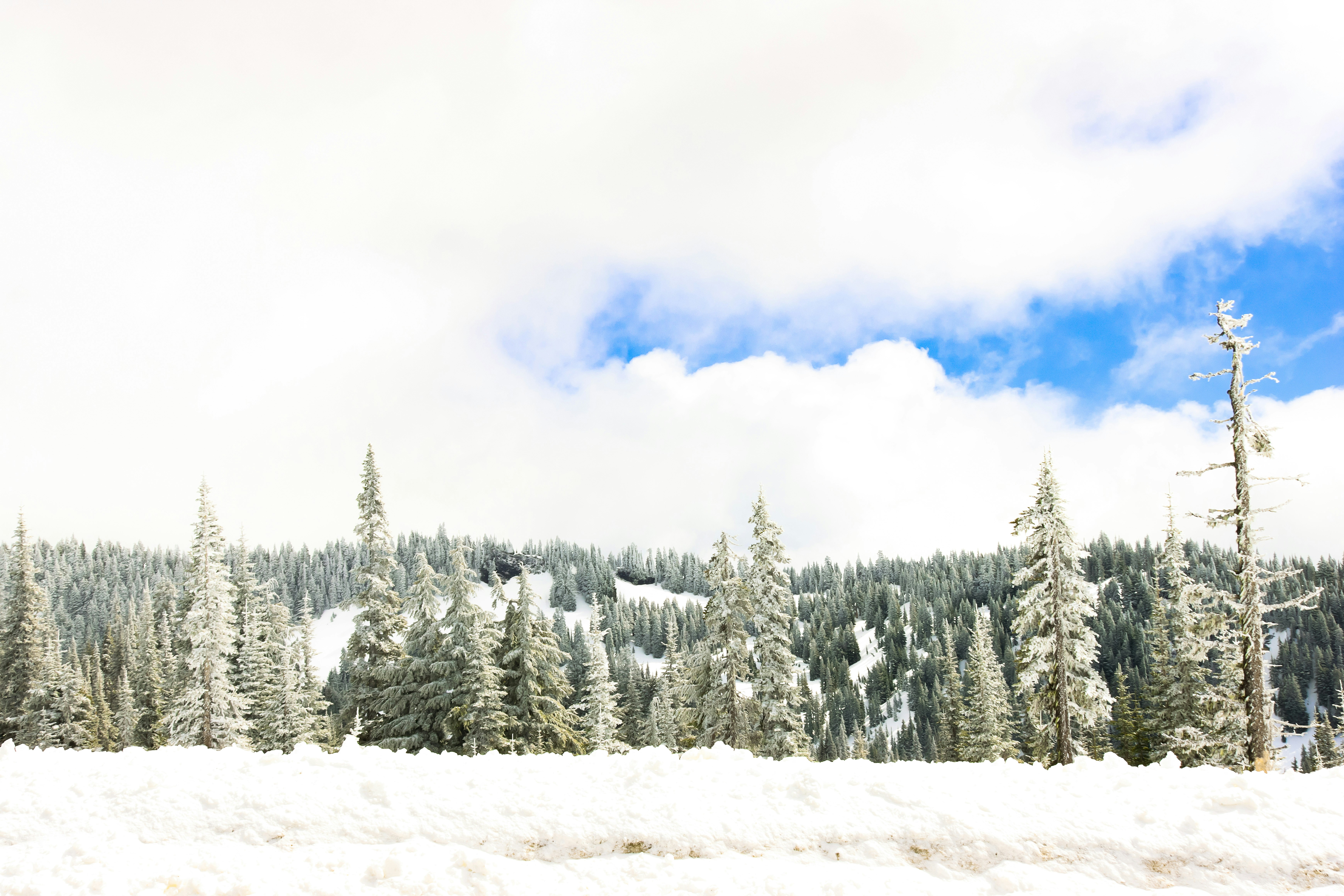 Photo by mandihchapman