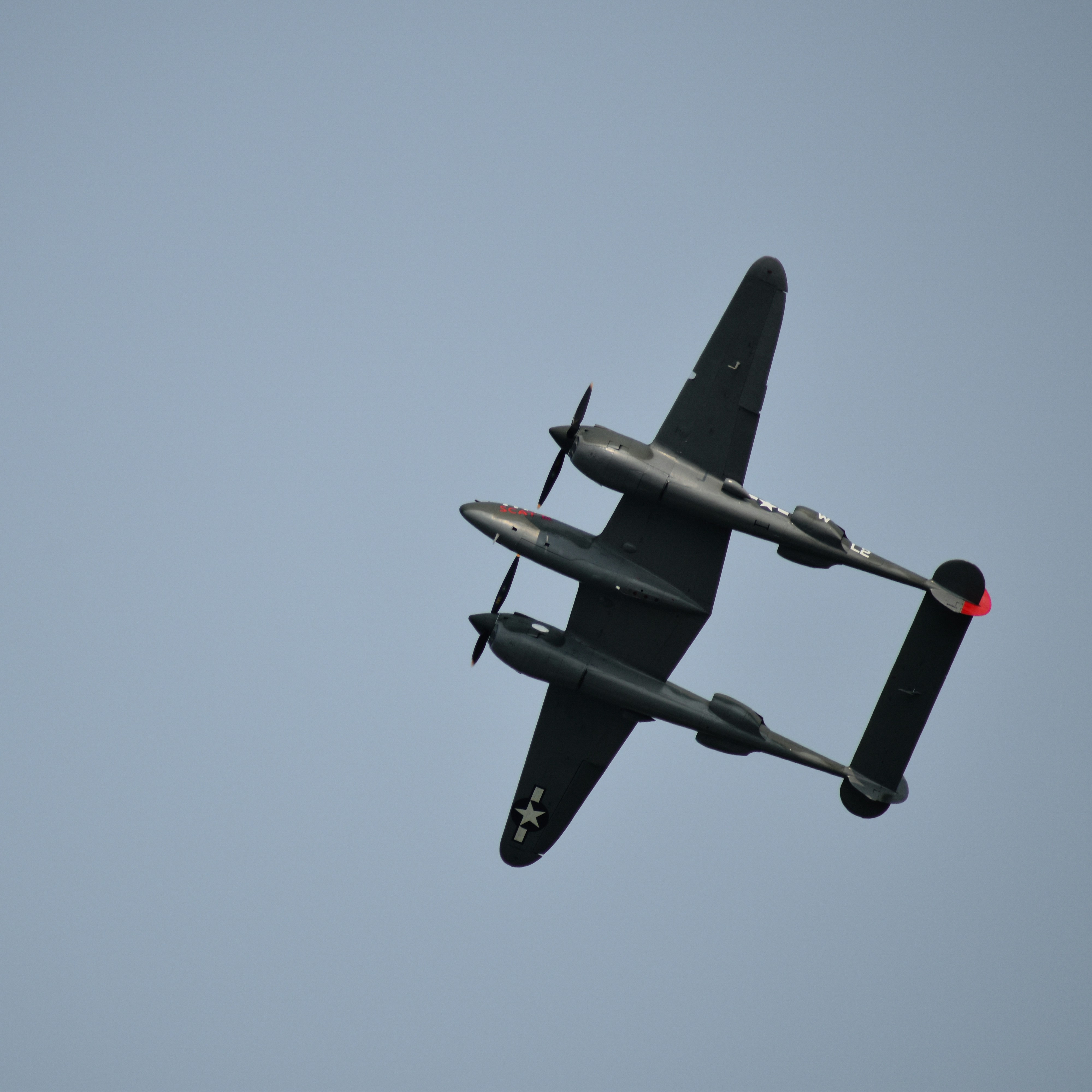 Photo by koshaughnessy