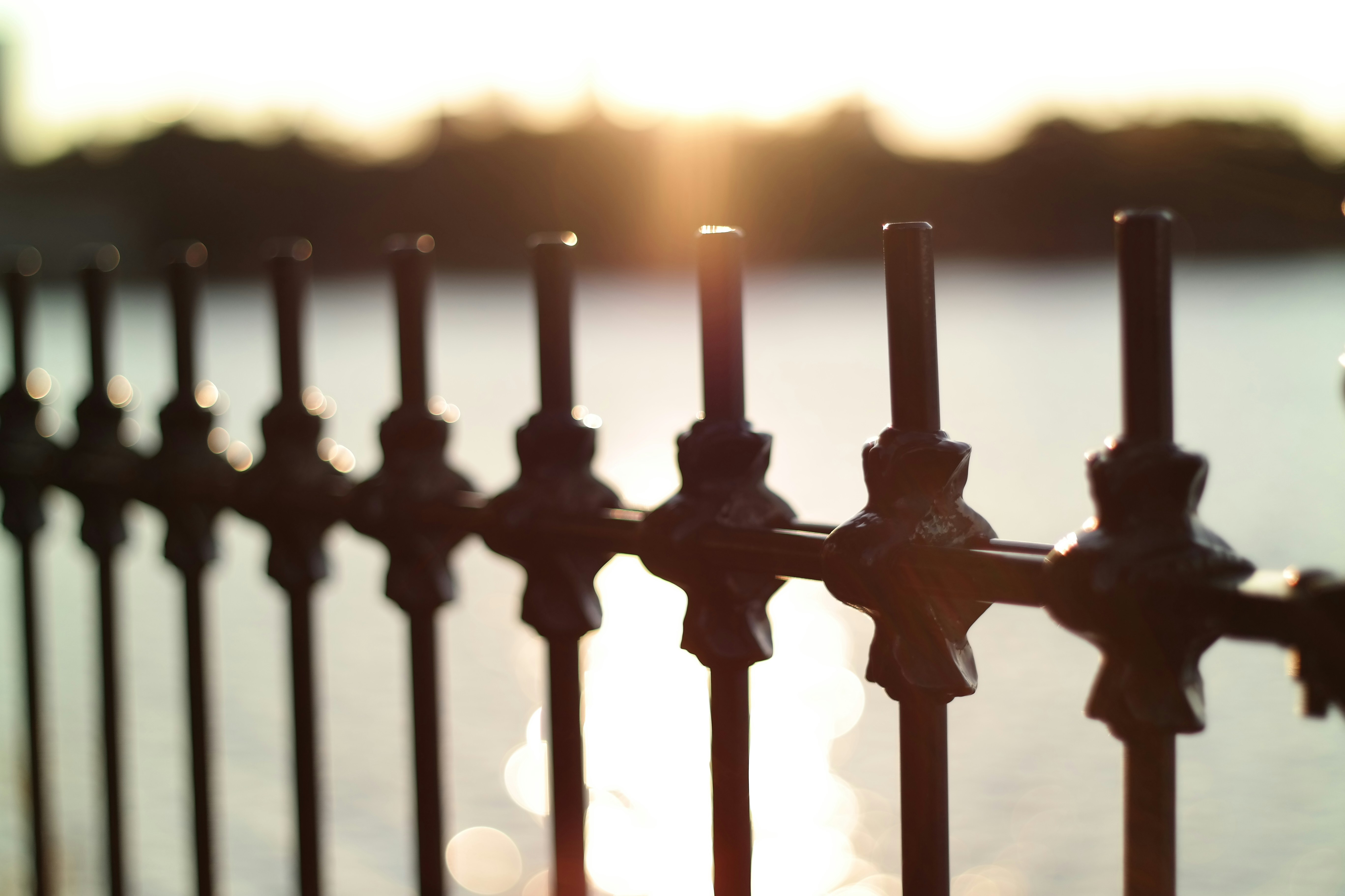 Elegant Aluminum Fence