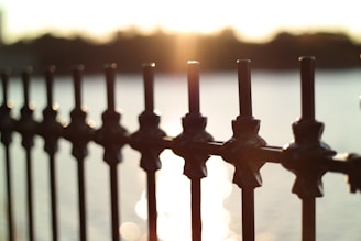 A metal fence with decorative elements is shown in the foreground. The background reveals a bright sunset over a body of water, with sunlight reflecting off the water's surface.