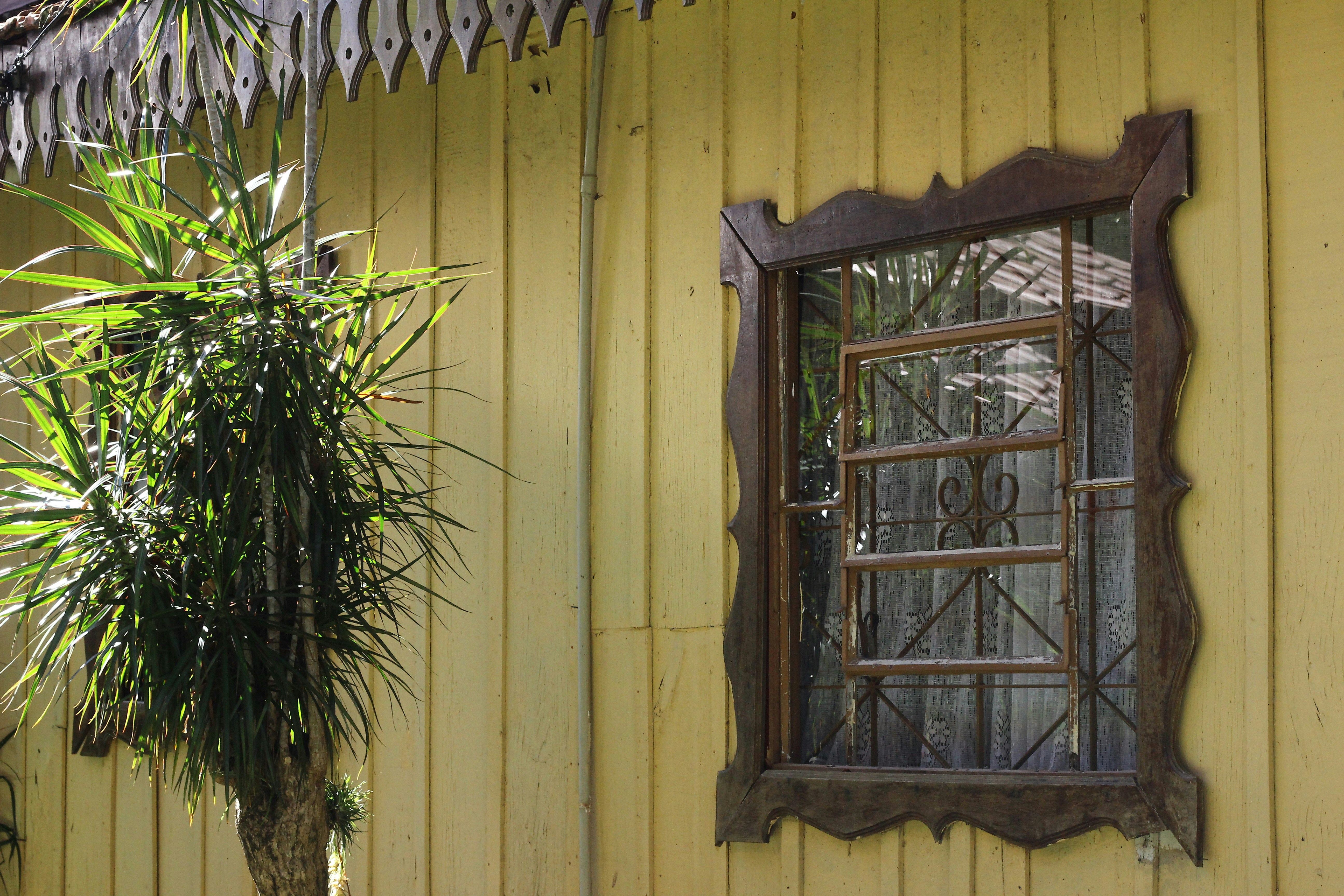 a yellow building with a window and a potted plant