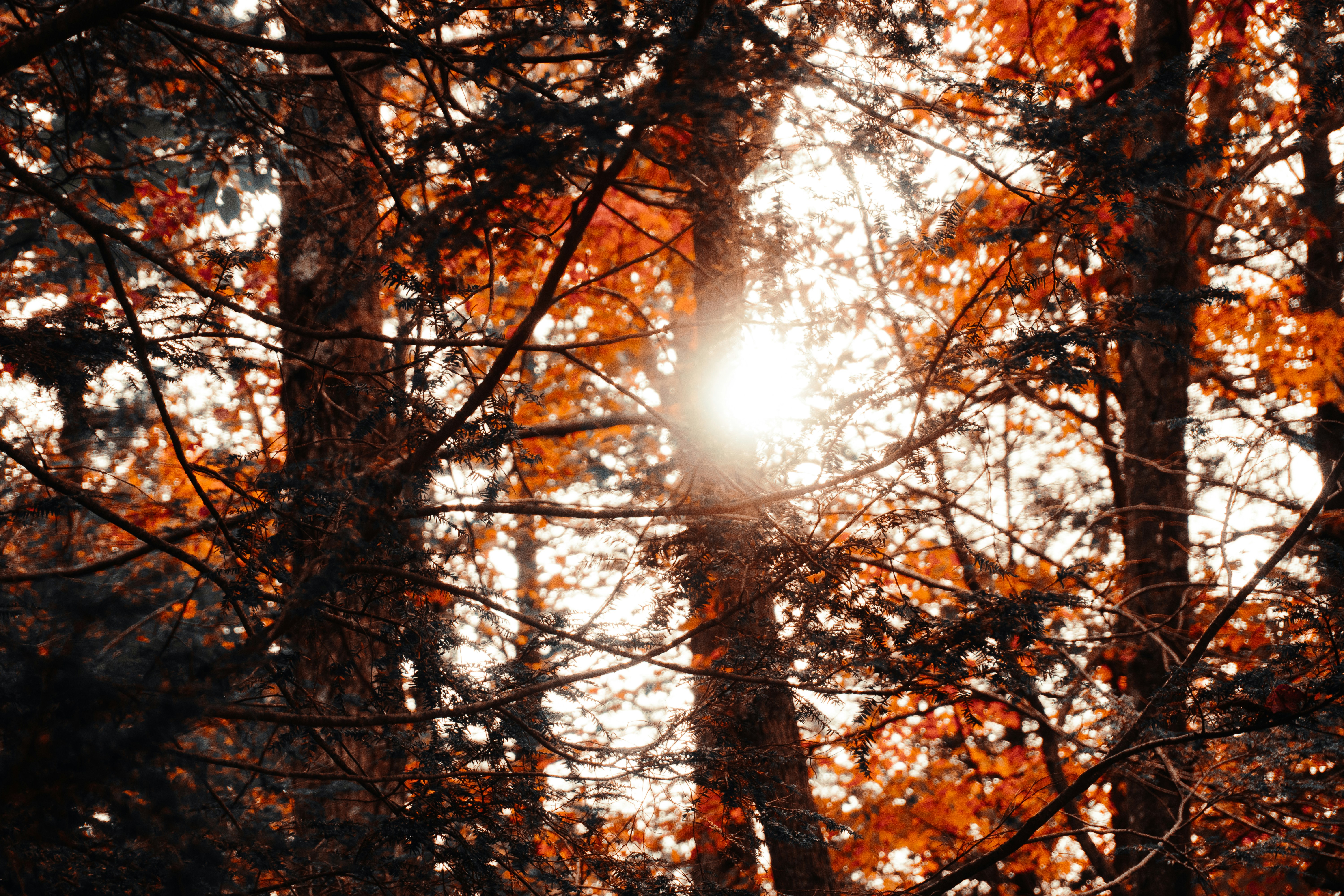 Photo by mathewmogrovejo18