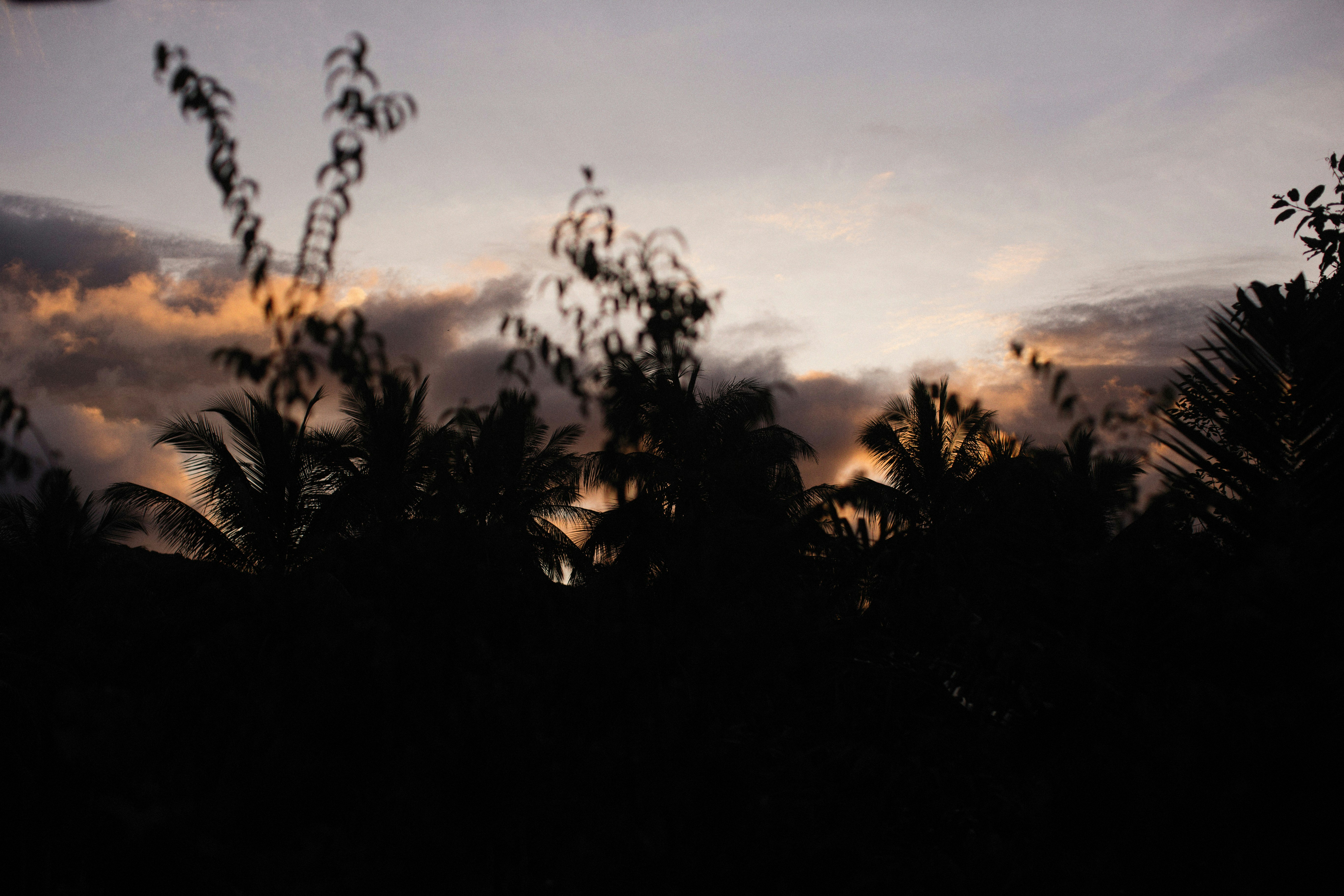 Photo by alexeydemidov