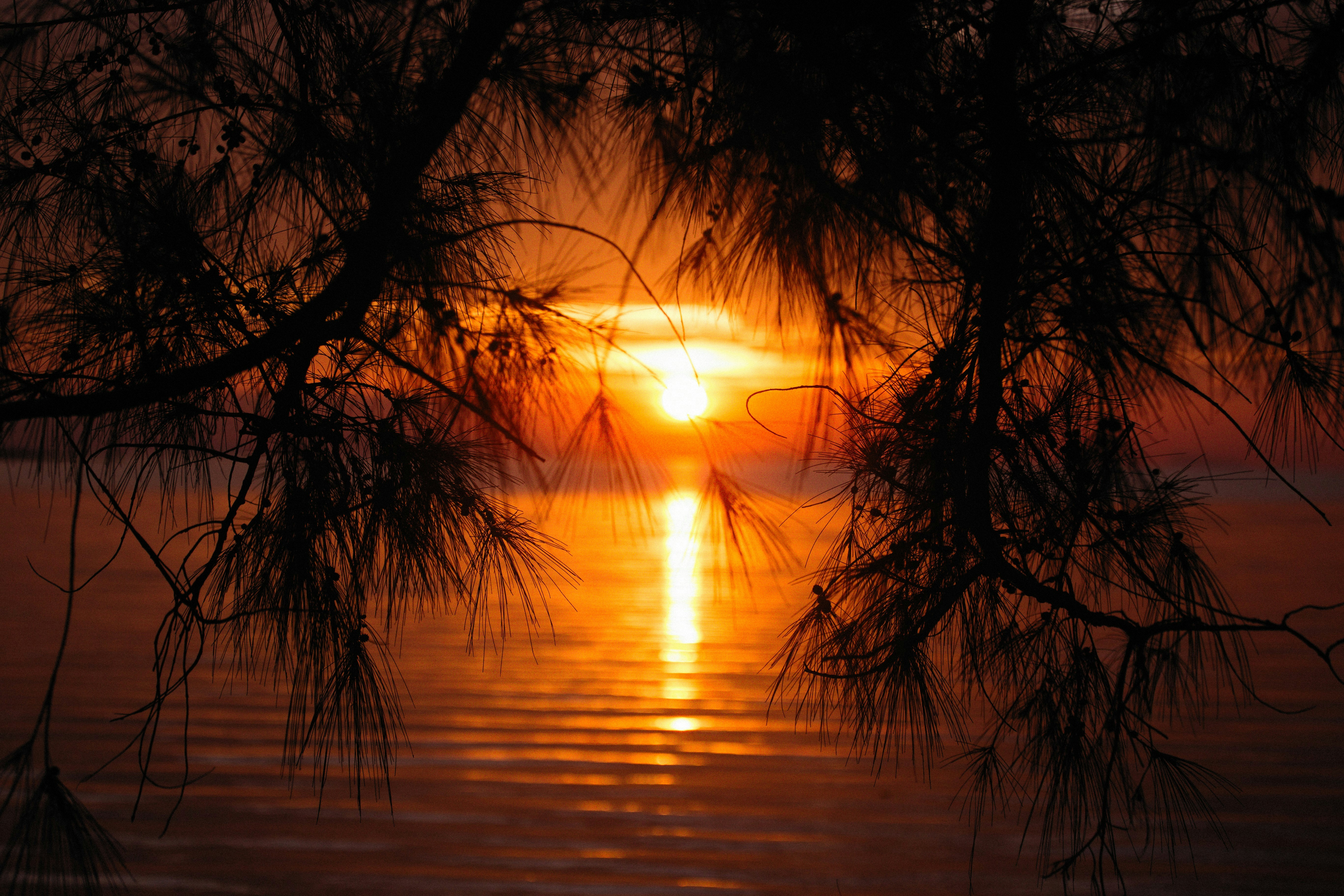 Photo by alexeydemidov